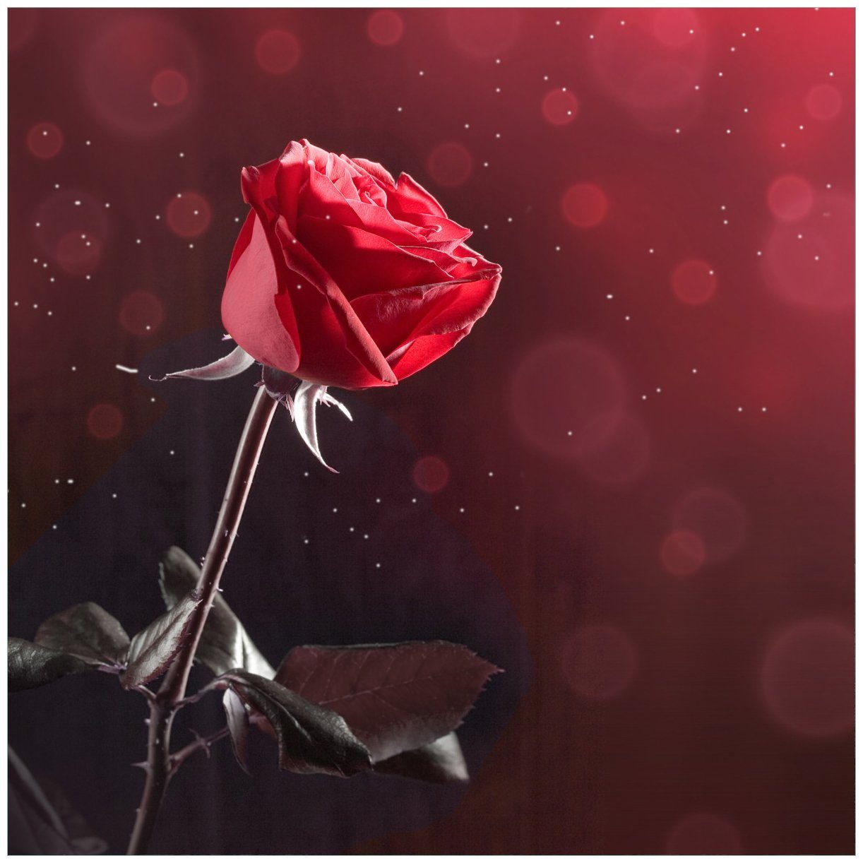 Glasbild