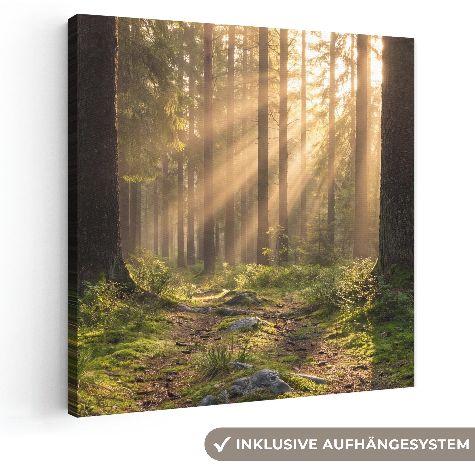 OneMillionCanvasses® Leinwandbild Wald - Sonnenlicht - Gras, Fotodruck (1 St), Wandbild, Deko Schlafzimmer Wohnzimmer Flur 20x20 cm