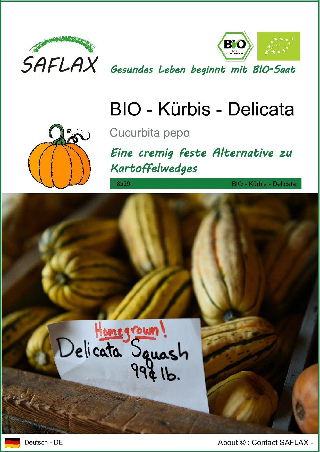 Gemüsesamen SAFLAX - Samen - BIO - Kürbis - Delicata