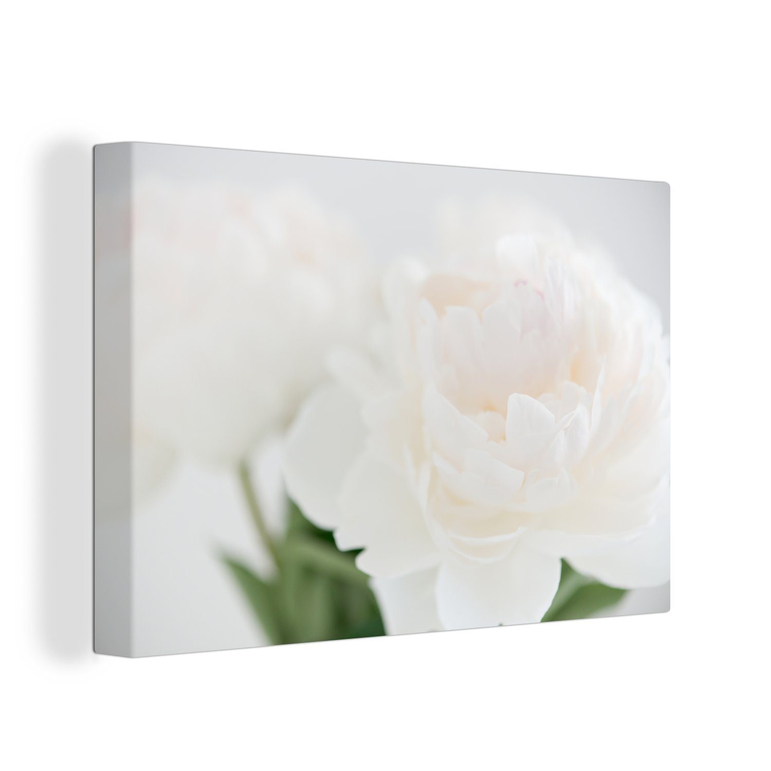 OneMillionCanvasses® Leinwandbild Ein Blumenstrauß mit weißen Pfingstrosen, Fotodruck (1 St), Leinwand Bilder Klein, Wand Dekoration Aesthetic 30x20 cm