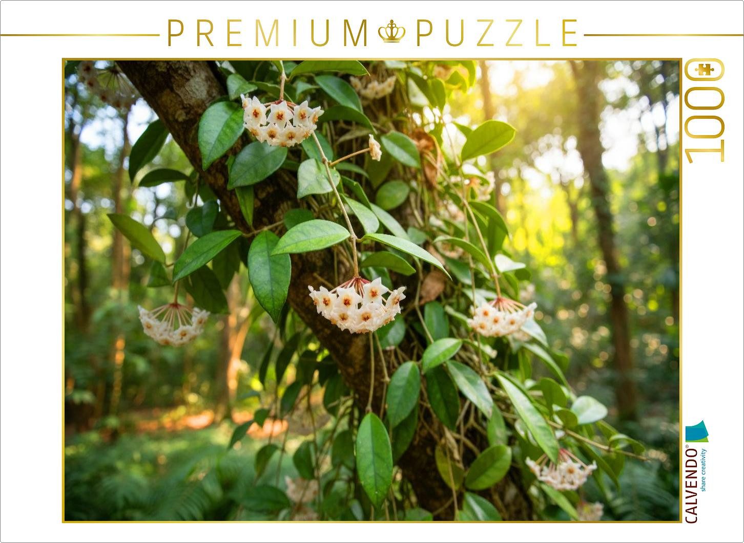 CALVENDO Puzzle CALVENDO Puzzle Hoya carnosa - Porzellanblume in der Natur, 1000 Teil, 1000 Puzzleteile