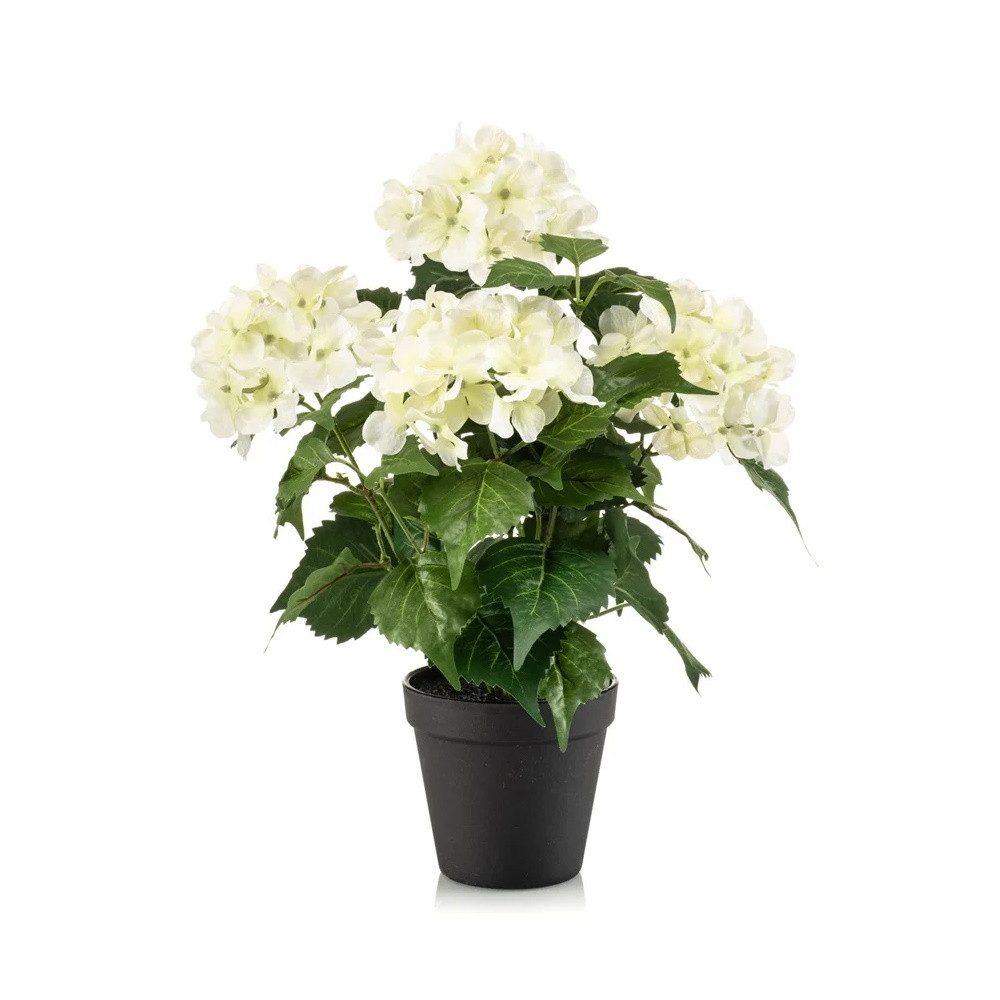 Künstliche Zimmerpflanze, Emerald, Höhe 38 cm günstig online kaufen