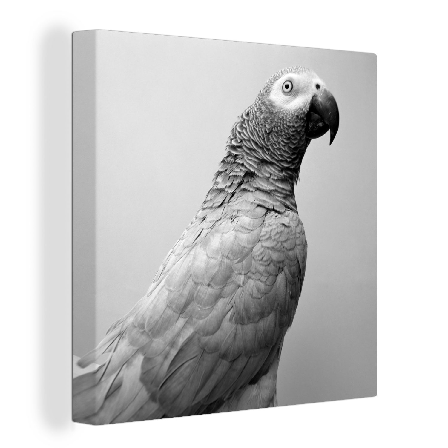 OneMillionCanvasses® Leinwandbild Porträtfoto des Gartenrotschwanzes - schwarz und weiß, (1 St), Leinwand Bilder für Wohnzimmer Schlafzimmer