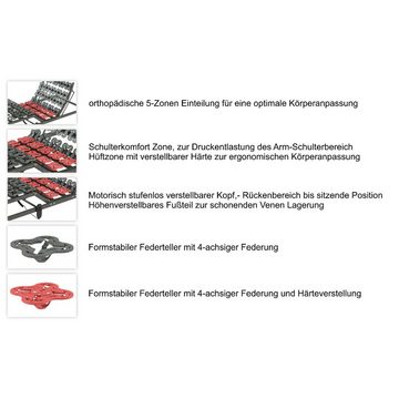 Tellerlattenrost »elektrischer Tellerlattenrost TerraMed T-Flex«, Matratzen Perfekt, Kopfteil elektrisch verstellbar, Fußteil elektrisch verstellbar, Tellerrahmen mit verstellbarer Härte im mittleren Bereich