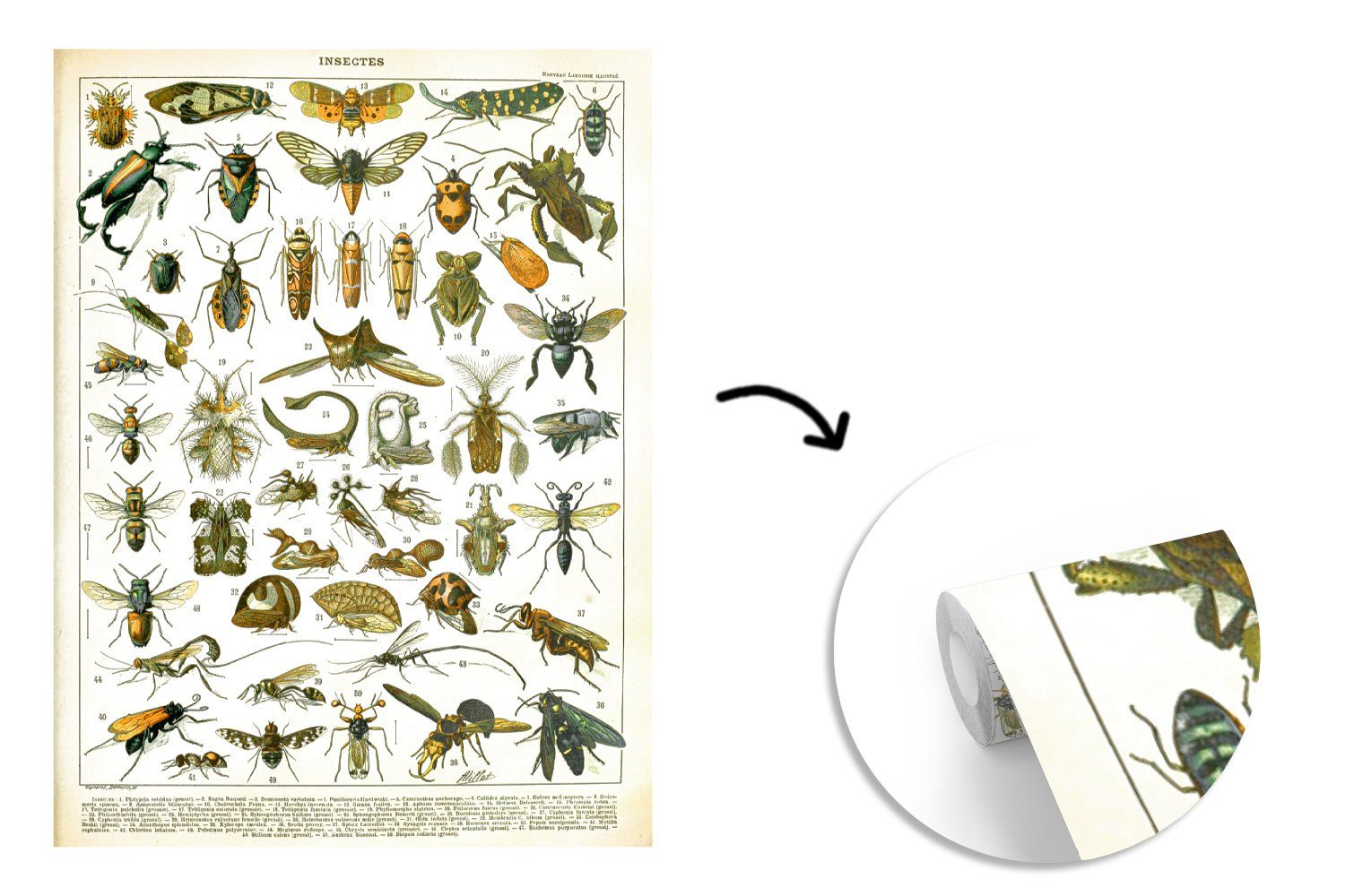 Wandtapete (4 Insekten St), für - Jahrgang, - Tapete bedruckt, Tiere Fototapete Montagefertig Matt, MuchoWow Wohnzimmer, Vinyl