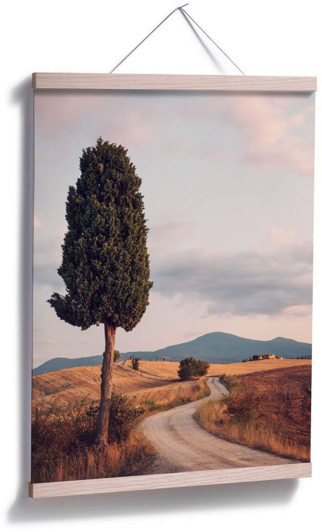 Landschaften Poster, Wall-Art Wandbild, Poster St), Zypressenweg, (1 Bild, Wandposter