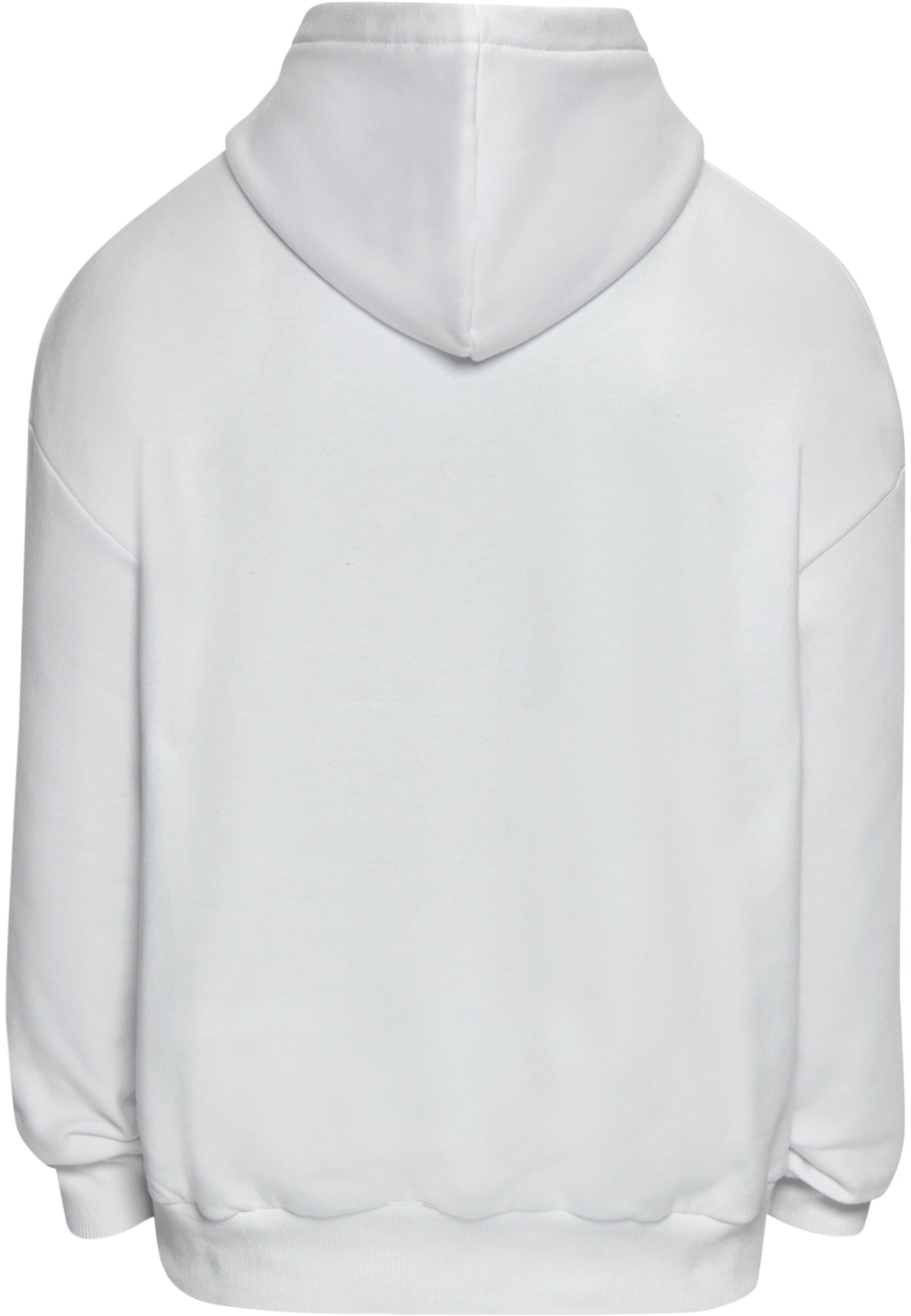 Dropsize Kapuzensweatshirt Dropsize Herren Dropsize Bazix Republiq SUPER HE günstig online kaufen