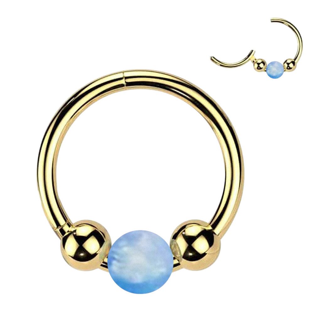Taffstyle Nasenpiercing Helix Piercing Clicker Ring günstig online kaufen