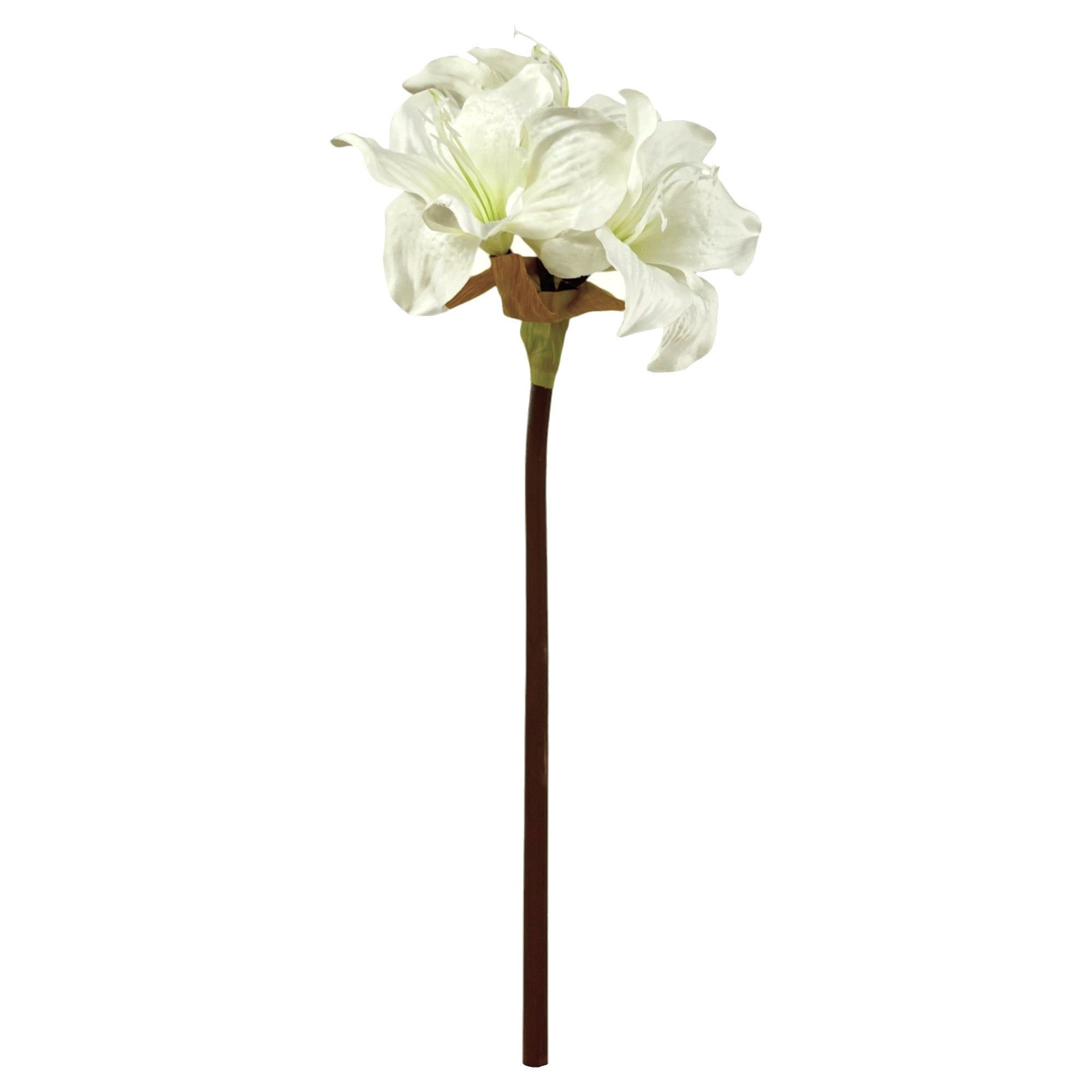 Kunstblume Kunstblume Amaryllis ca. 48cm. 1 Stängel mit 3 Blüten, Floratexx günstig online kaufen