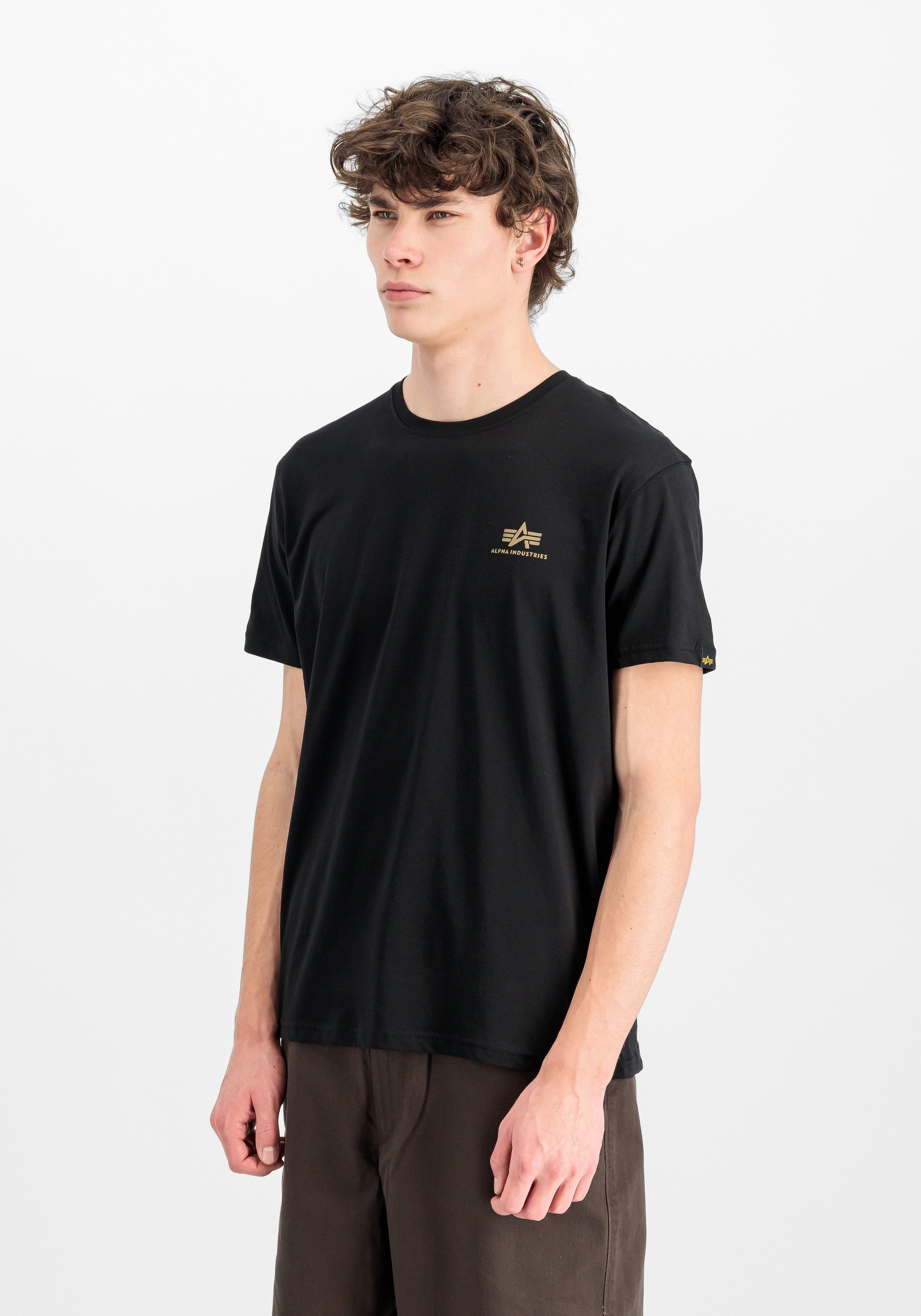 Alpha Industries T-Shirt Backprint T-Shirt Camo Print günstig online kaufen