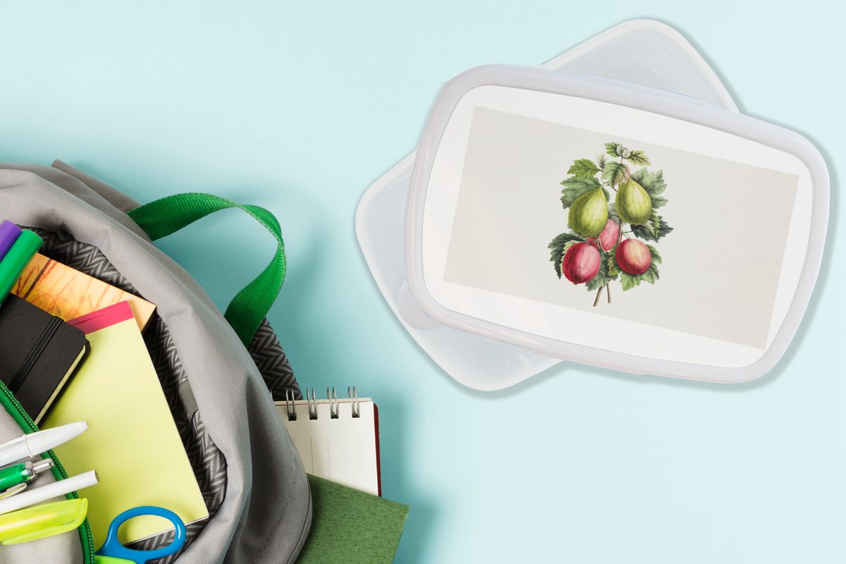 Lebensmittel und und Kinder - (2-tlg), MuchoWow Brotbox Gesund, Feigen Lunchbox weiß - Mädchen Brotdose, Jungs für Erwachsene, Kunststoff, für