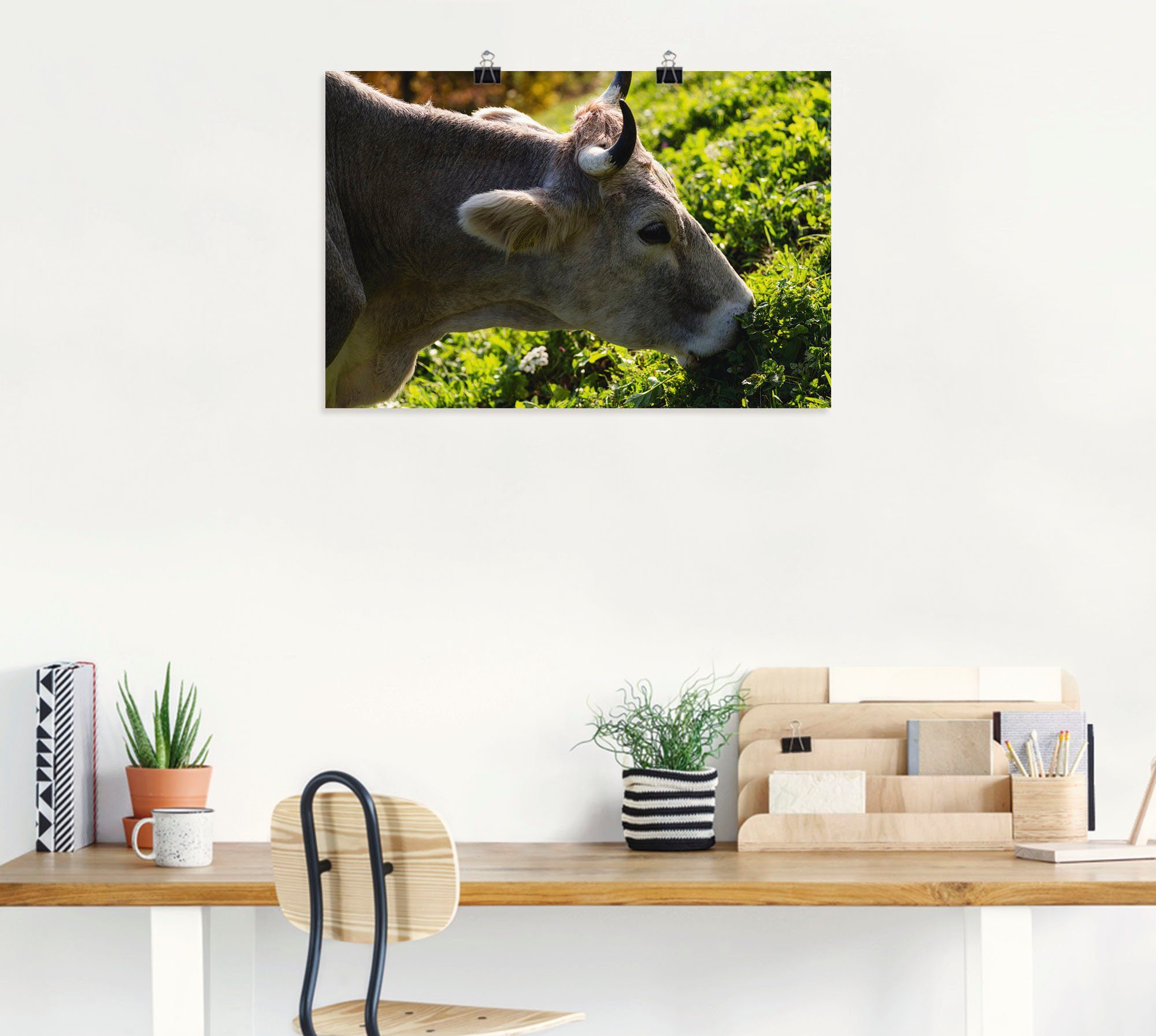 Wandbild versch. Größen in Wandaufkleber glückliche Eine Kuhbilder oder Kuh, (1 Alubild, St), als Poster Artland Leinwandbild, Südtiroler