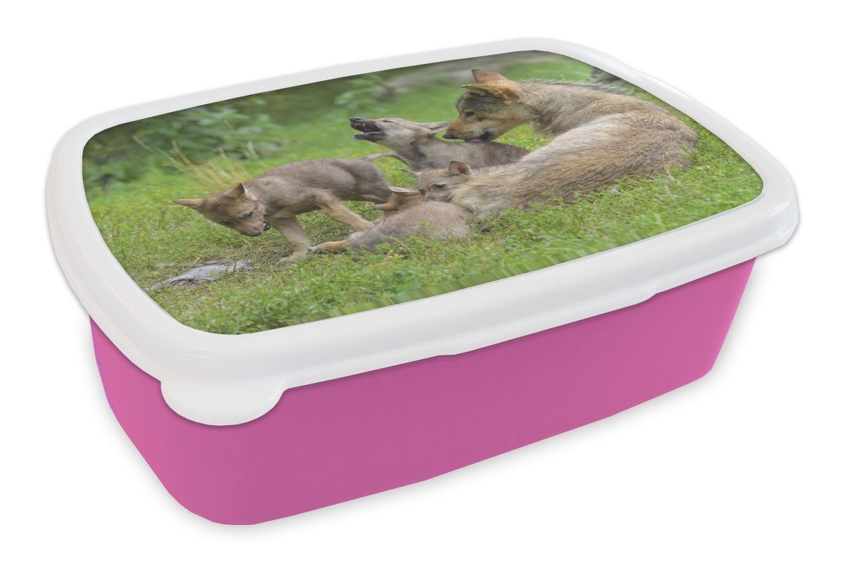 MuchoWow Lunchbox Mädchen, Kunststoff, Kunststoff - Erwachsene, für Kinder, rosa Gras, Snackbox, - Brotbox Brotdose Wolf (2-tlg), Jungtiere