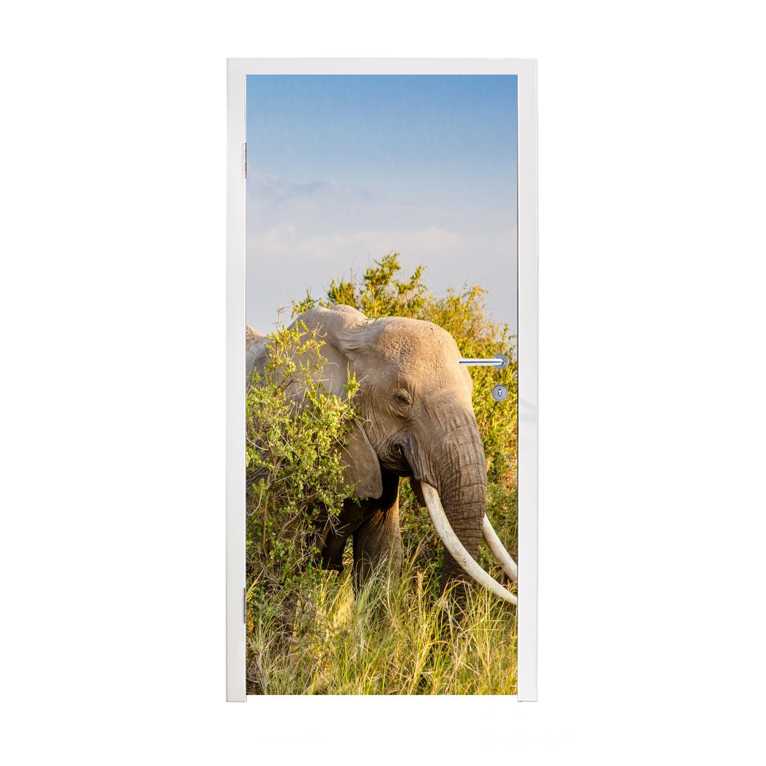 MuchoWow Türtapete Elefant - Tiere - Gras - Grün - Berg, Matt, bedruckt, (1 St), Fototapete für Tür, Türaufkleber, 75x205 cm