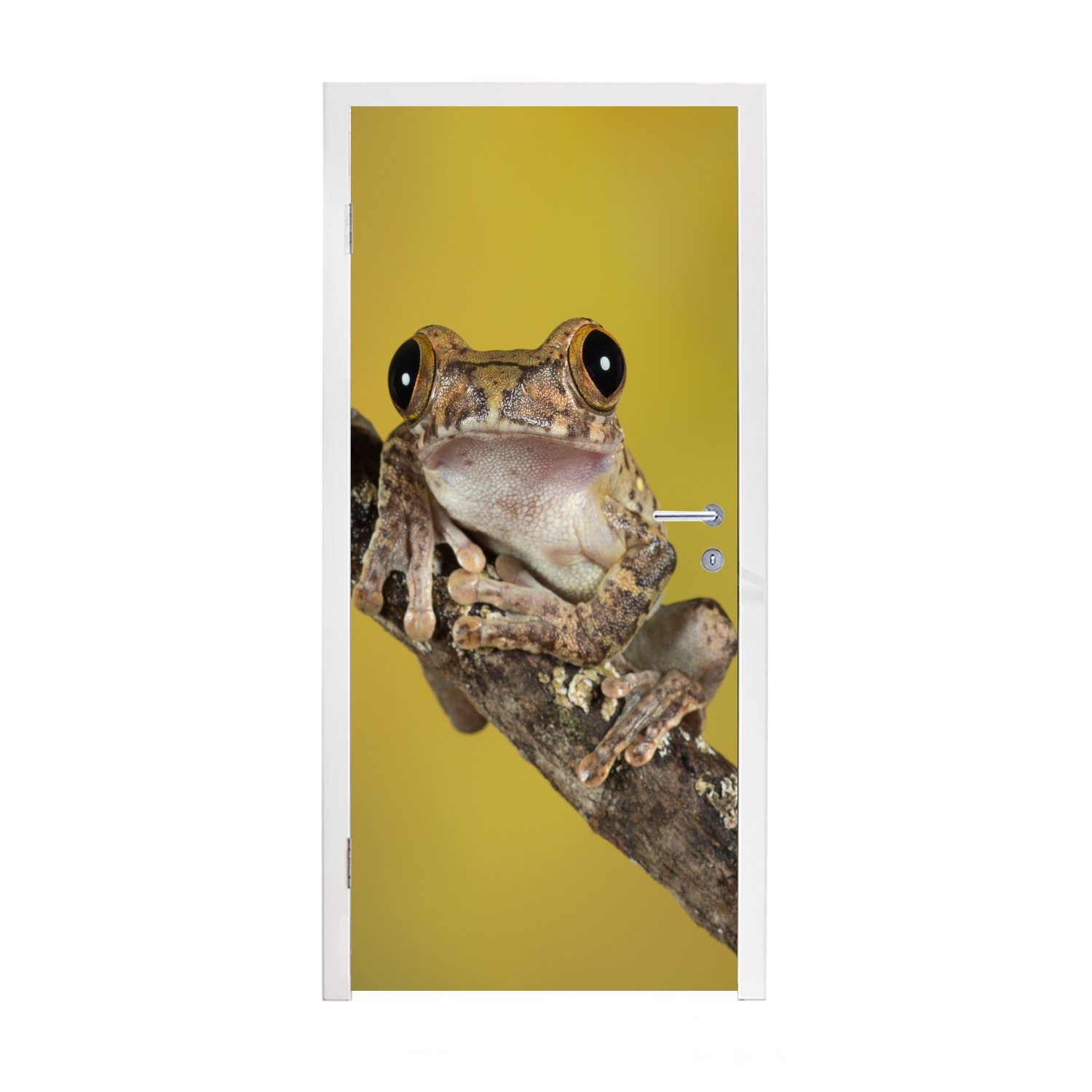 MuchoWow Türtapete Frosch - Zweig - Gelb, Matt, bedruckt, (1 St), Fototapete für Tür, Türaufkleber, 75x205 cm