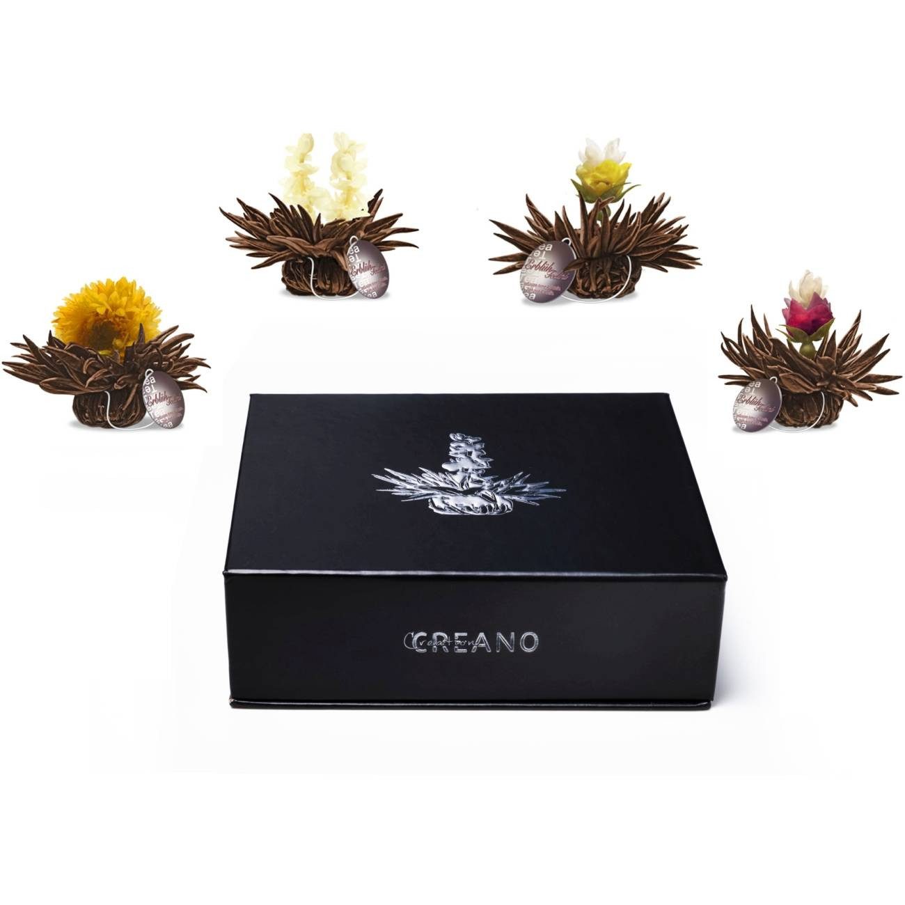 Creano Tee Magnetbox 6er Teelini Schwarzer Tee, 1 x 6 St.