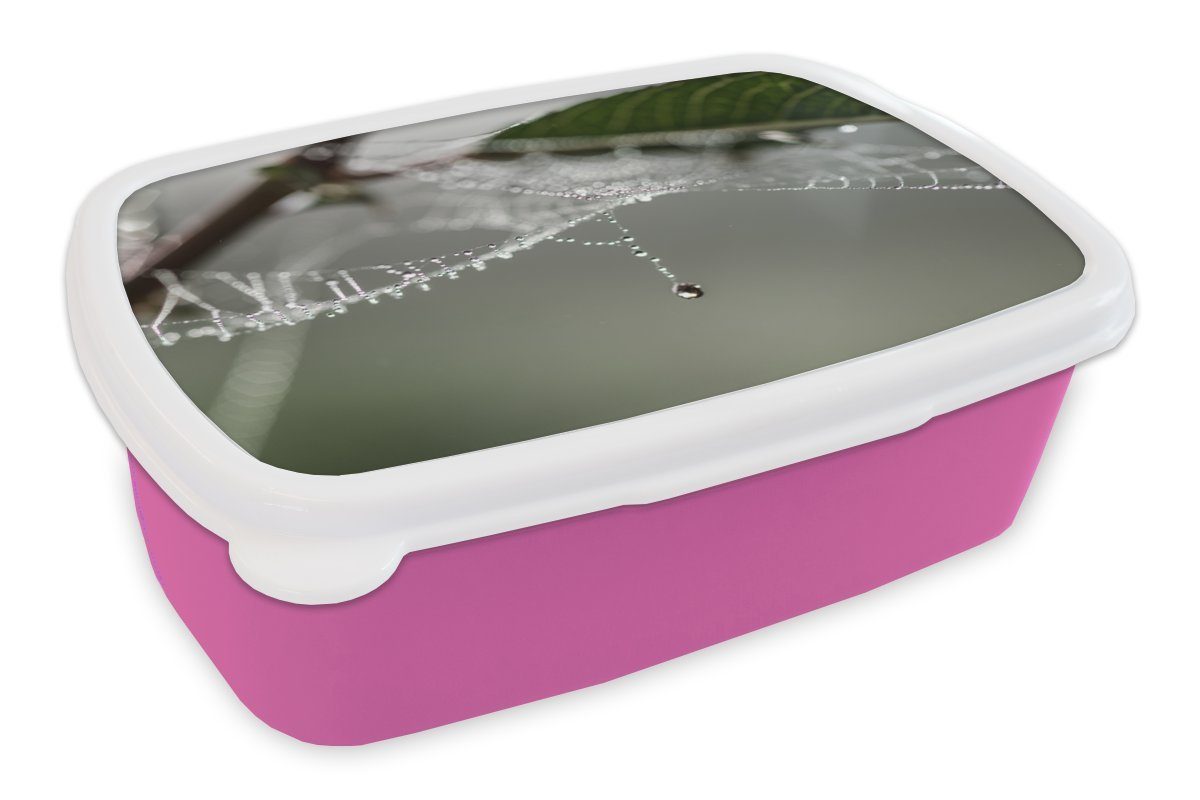 MuchoWow Lunchbox Herbst - Spinnennetz - Tropfen, Kunststoff, (2-tlg), Brotbox für Erwachsene, Brotdose Kinder, Snackbox, Mädchen, Kunststoff rosa