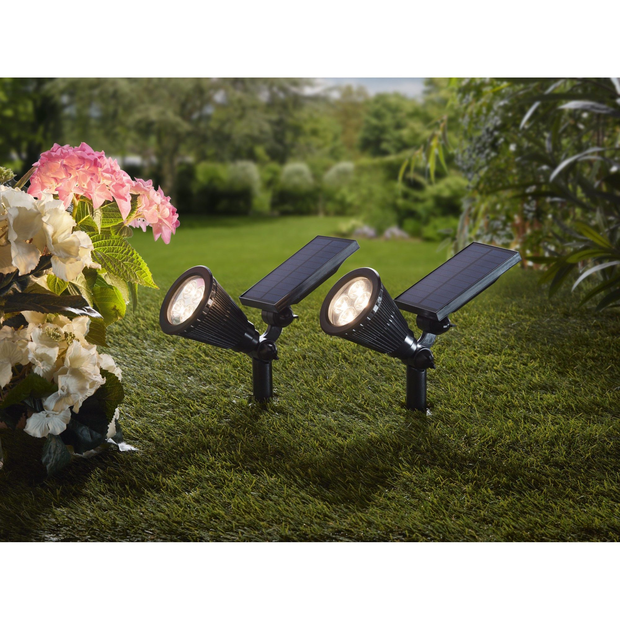 Frank Flechtwaren LED Dekolicht, LED-Solarstrahler Spotlight günstig online kaufen