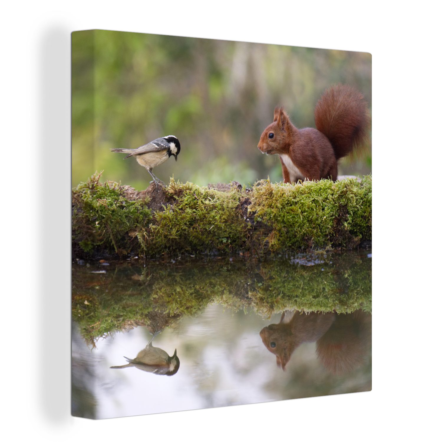 OneMillionCanvasses® Leinwandbild Waldtiere - Wasser - günstig online kaufen