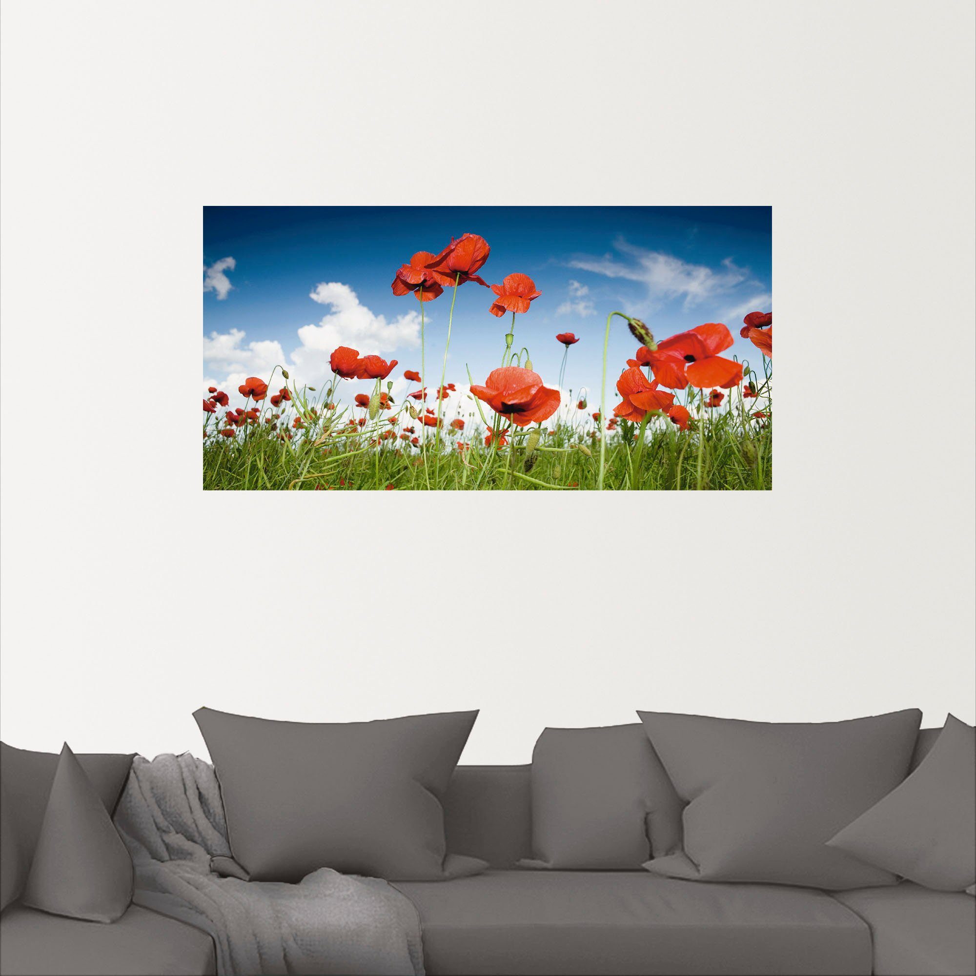 Artland Wandbild Feld mit (1 St), unter Leinwandbild, Größen oder Mohnblumen in versch. Blumenwiese Poster Himmel, Alubild, als Wandaufkleber