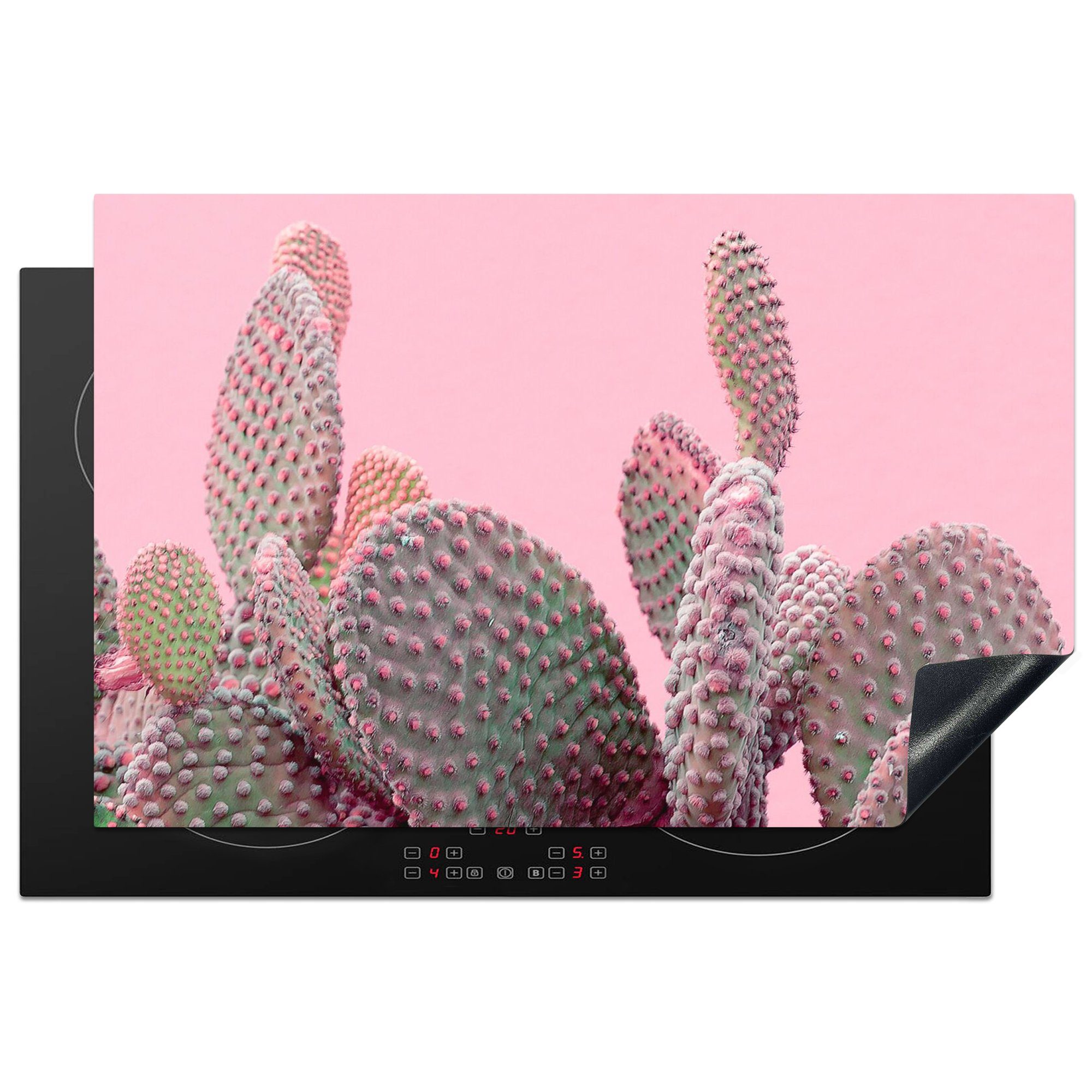 MuchoWow Herdblende-/Abdeckplatte Kaktus - Pflanzen - Sommer, Vinyl, (1 tlg), 81x52 cm, Ceranfeldabdeckung, Arbeitsplatte für küche