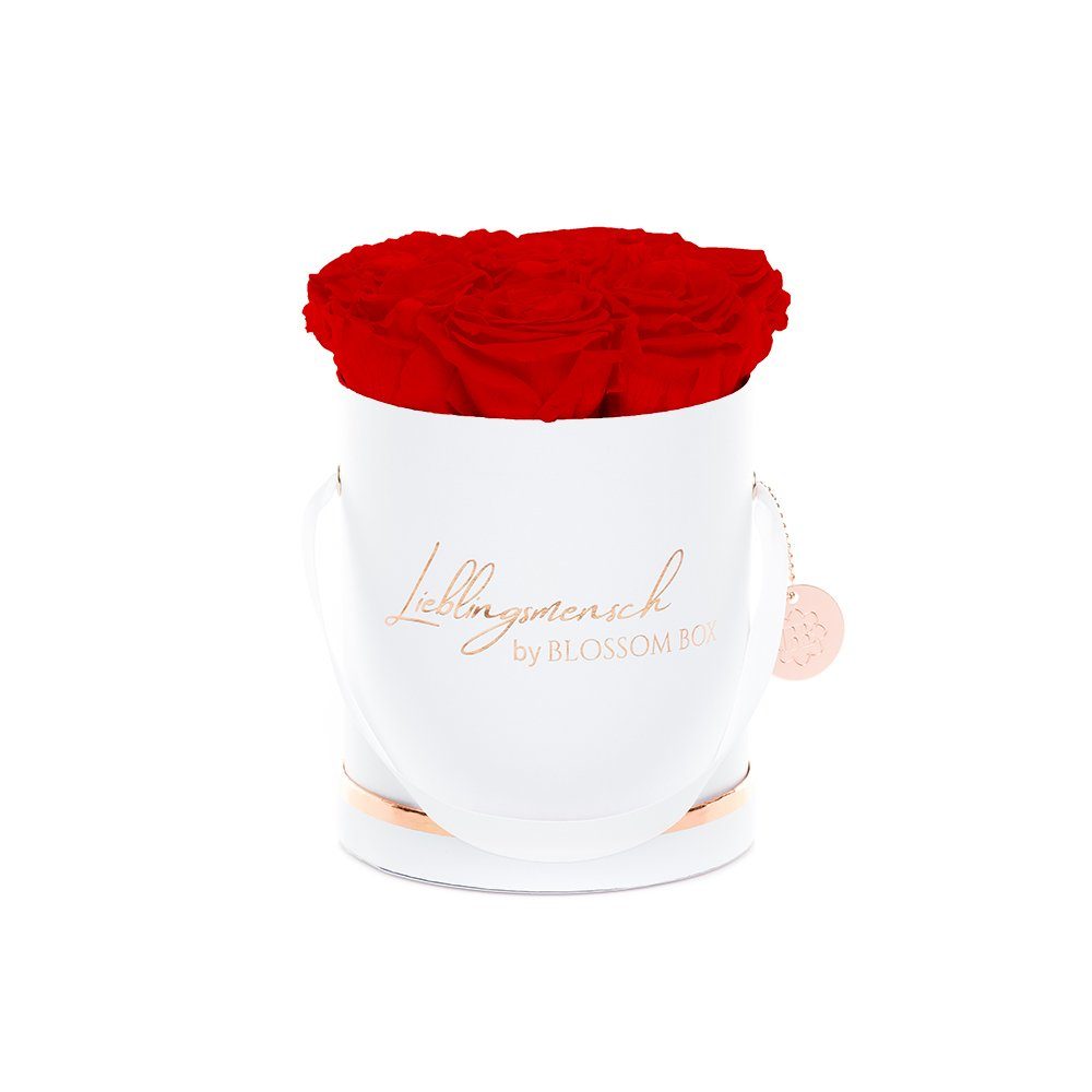 Trockenblume Medium - Lieblingsmensch Flowerbox - Rot, MARYLEA