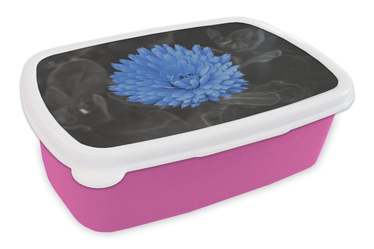 MuchoWow Lunchbox Blumen - Schwarz - Weiß - Blau, Kunststoff, (2-tlg), Brotbox für Erwachsene, Brotdose Kinder, Snackbox, Mädchen, Kunststoff rosa