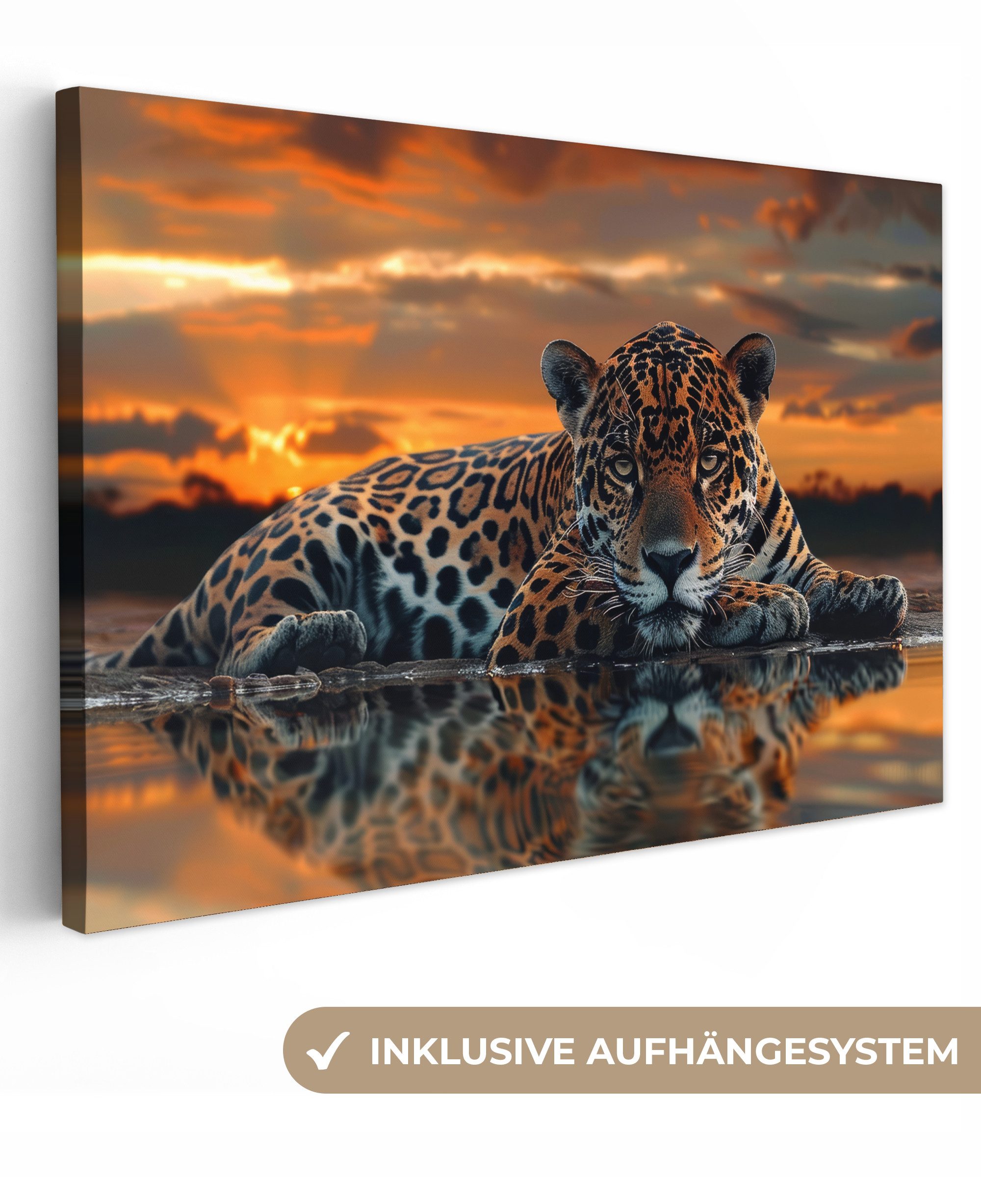 OneMillionCanvasses® Leinwandbild Natur - Leopard - Tier - Sonnenuntergang günstig online kaufen