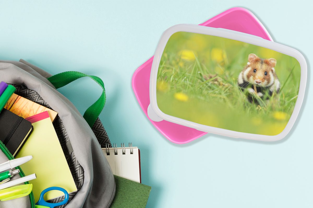 Hamster Kunststoff (2-tlg), Erwachsene, Snackbox, Kinder, MuchoWow für Gras, Brotdose im Kunststoff, Mädchen, Lunchbox Brotbox rosa Europäischer