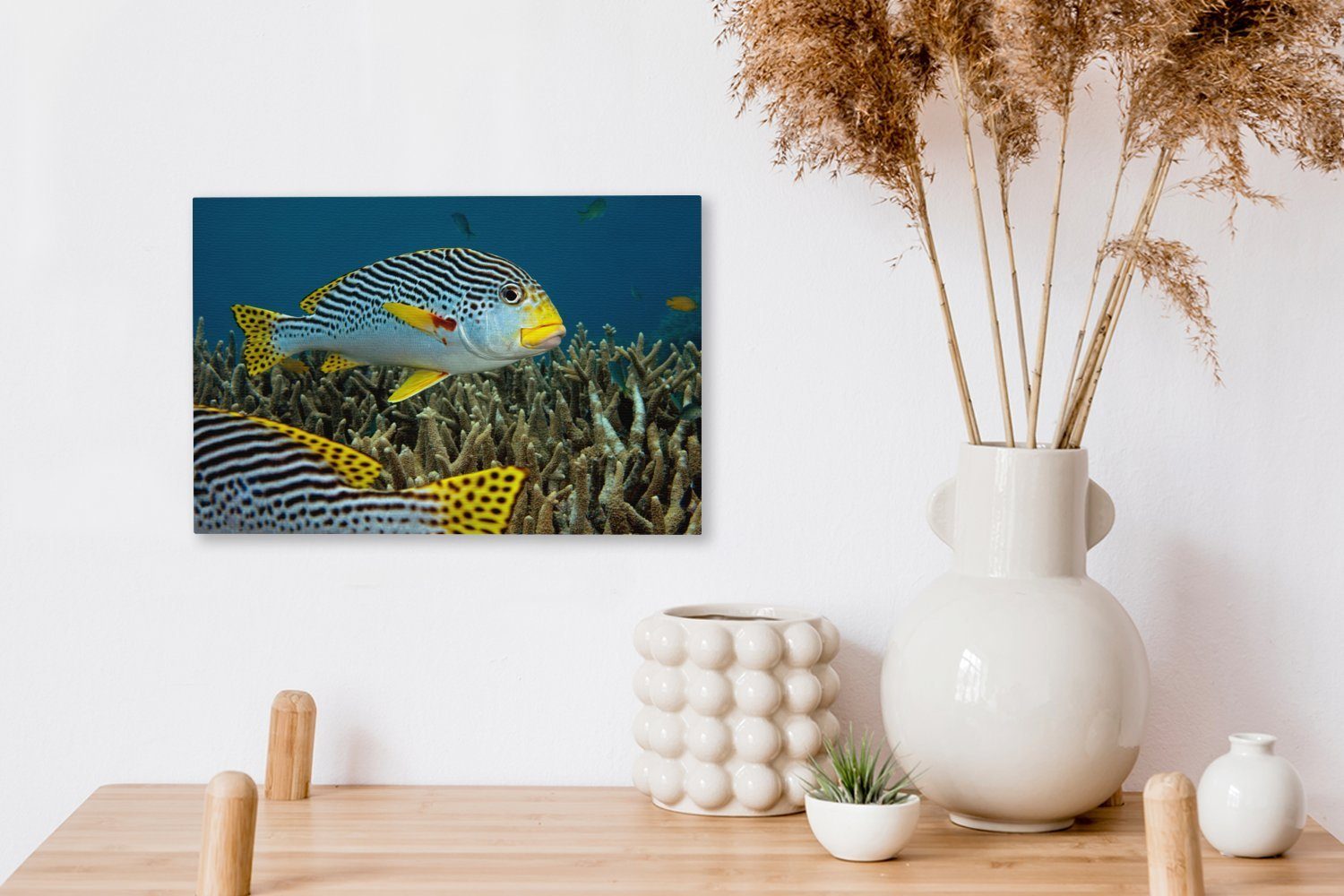 Fisch 30x20 Leinwandbilder, Leinwandbild St), cm - OneMillionCanvasses® Meer, Boden - Aufhängefertig, Wandbild Wanddeko, (1