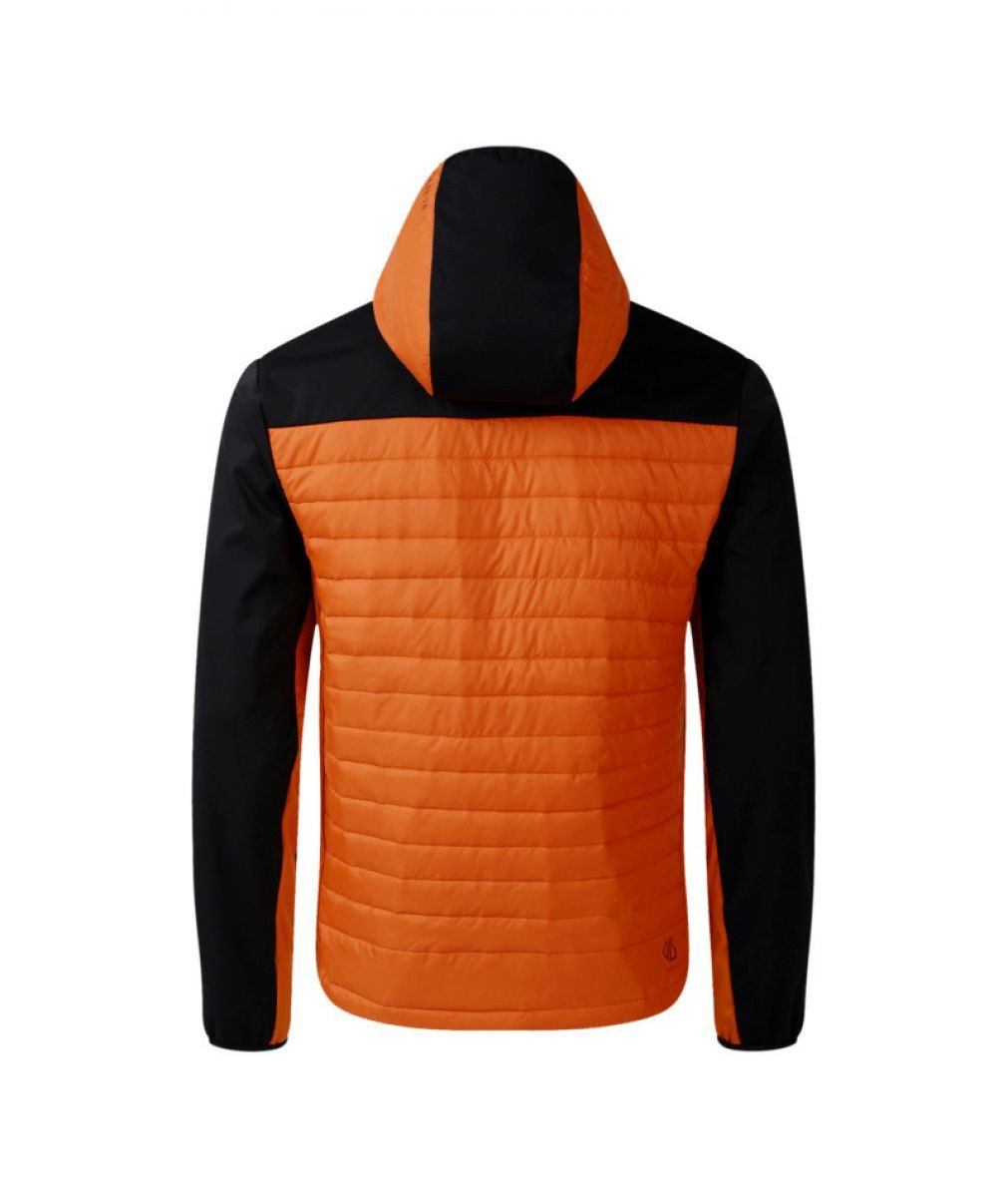 Dare2b Outdoorjacke Herren leichte Pufferjacke Windabweisend - MountaineerJkt