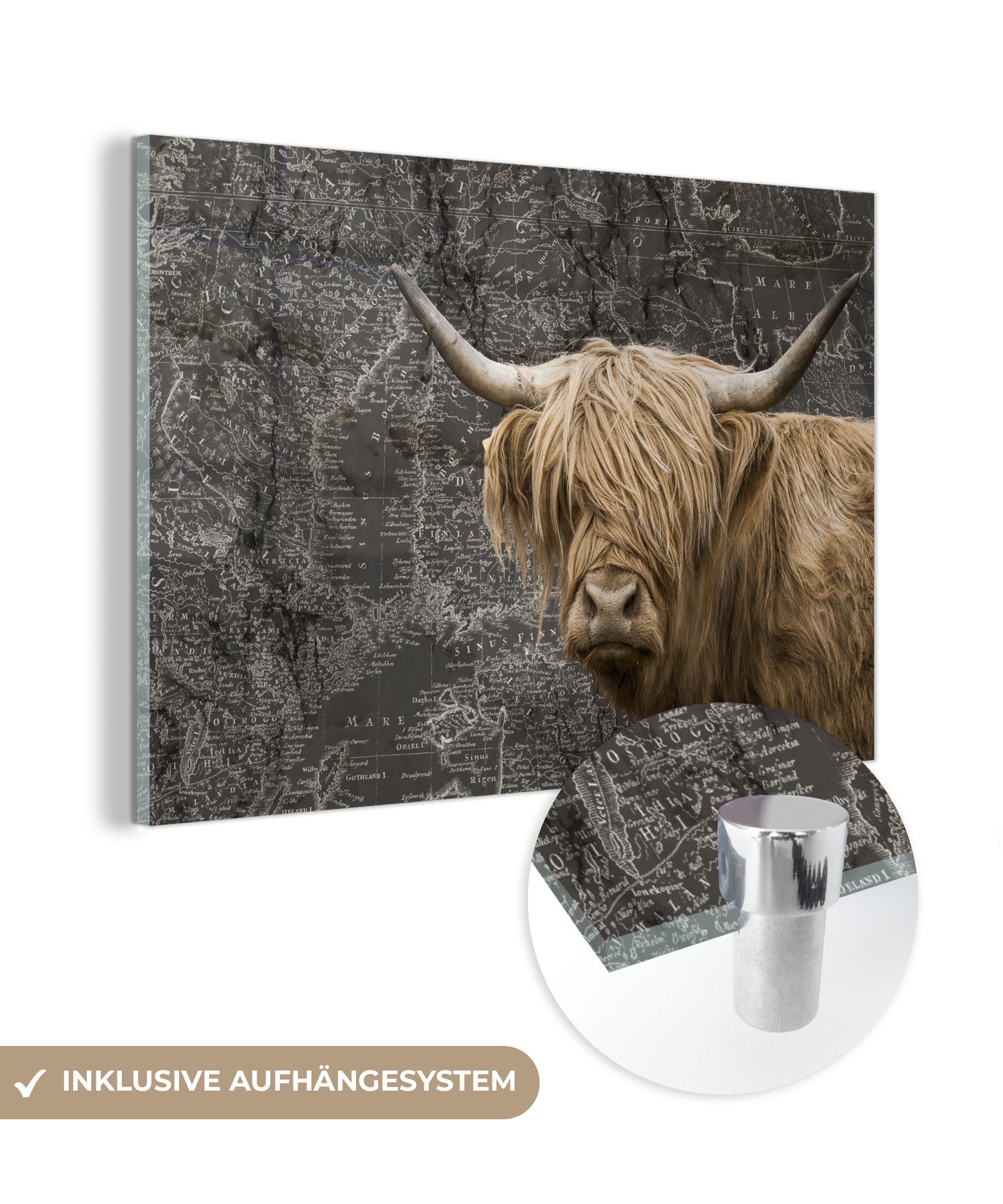 MuchoWow Acrylglasbild Schottische Highlander - Weltkarte - Kuh, (1 St), Glasbilder - Bilder auf Glas Wandbild - Foto auf Glas - Wanddekoration