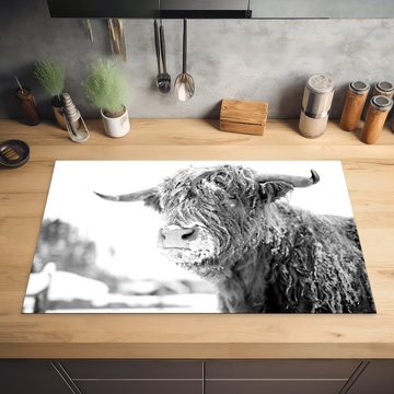 MuchoWow Herdblende-/Abdeckplatte Ein schottischer Highlander im Schnee - schwarz und weiß, Vinyl, (1 tlg), 83x51 cm, Ceranfeldabdeckung, Arbeitsplatte für küche