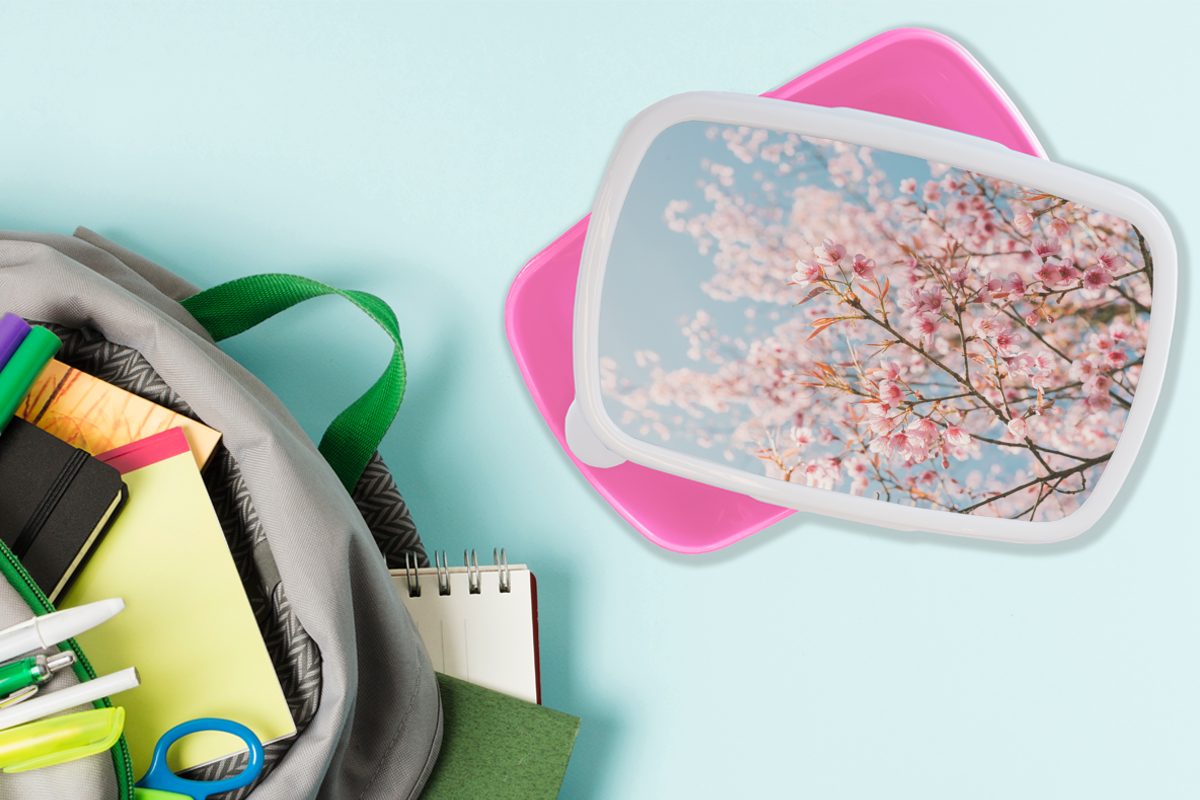 Brotbox Snackbox, - Kinder, Lunchbox Zweige, Frühling Mädchen, Brotdose Kunststoff (2-tlg), Kunststoff, Erwachsene, MuchoWow für rosa - Sakura