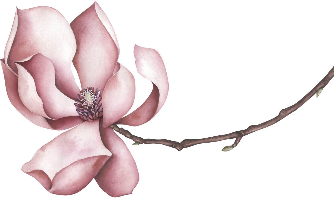 queence Wandtattoo Sabrina (1 St), Wandbild, Sticker, rosa, Blume, Blüte, selbstklebend