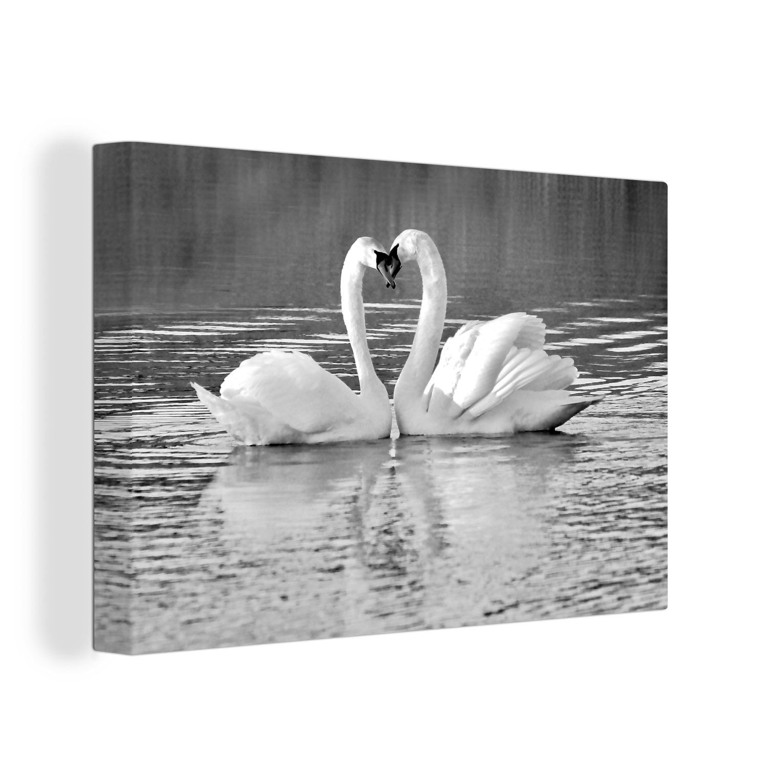 OneMillionCanvasses® Leinwandbild Zwei Schwäne auf dem Wasser - schwarz und weiß, (1 St), Wandbild Leinwandbilder, Aufhängefertig, Wanddeko, 30x20 cm
