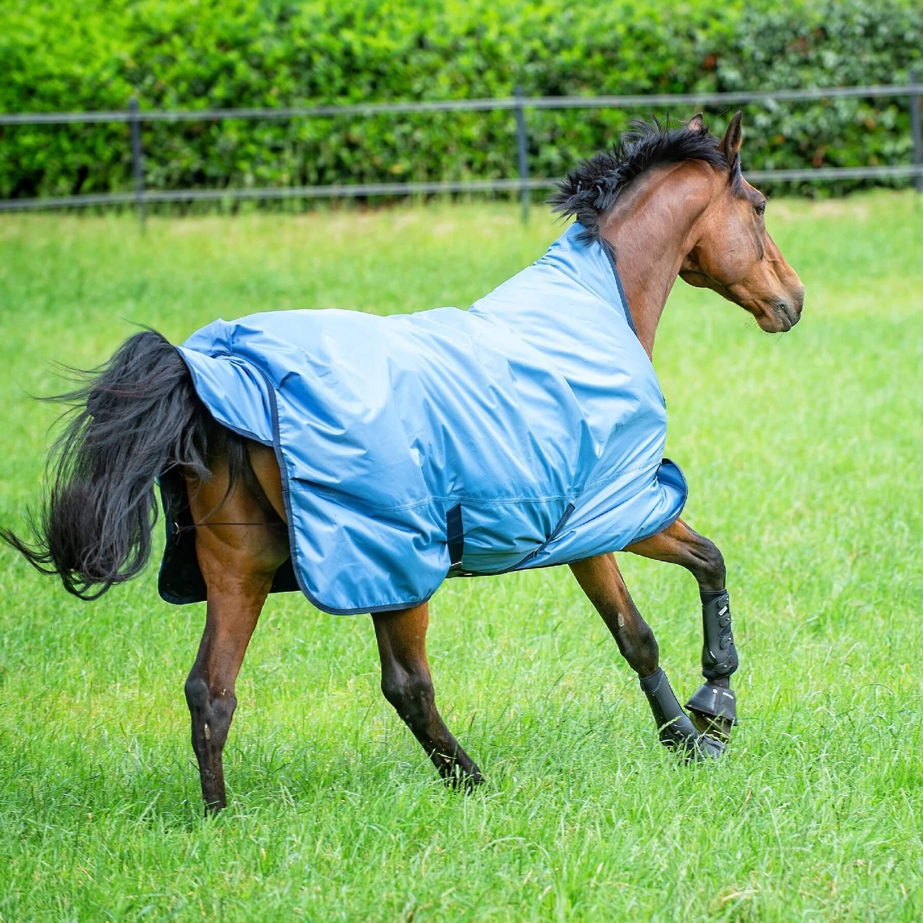 BUSSE Paddockdecke BUSSE Outdoordecke RAIN-DEAR 00, ohne Wärmeisolierung