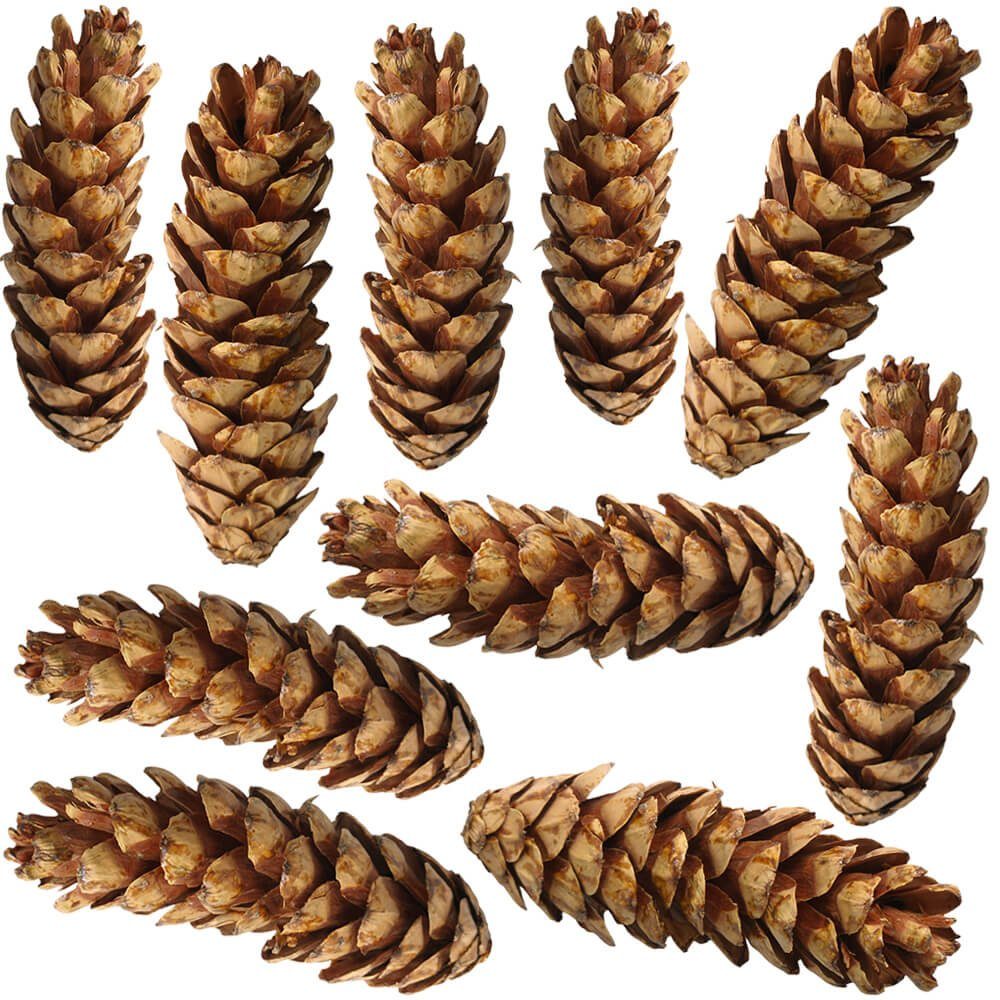 matches21 HOME & HOBBY Bastelnaturmaterial Große Tannen-Zapfen Streudeko braun 10er Set in 15 - 25 cm, (10-tlg), Weihnachten Deko-Zapfen zum Basteln und Weihnachtsbaum-Schmuck