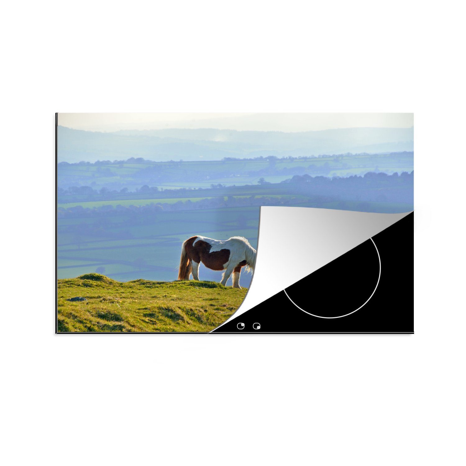 für - Dartmoor Berge Herdblende-/Abdeckplatte - Induktionskochfeld Pferde (1 Schutz MuchoWow Vinyl, die küche, Gras, 81x52 tlg), cm, - Ceranfeldabdeckung
