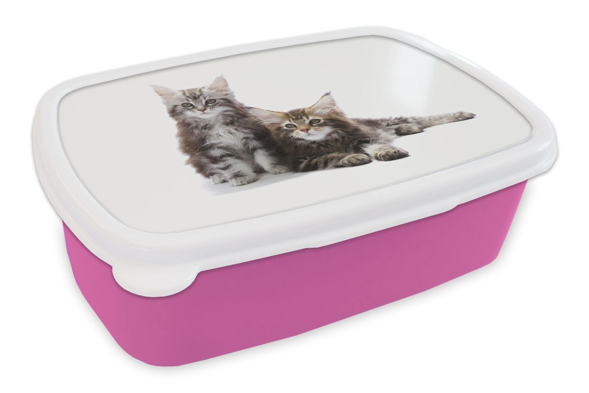 Snackbox, Brotdose rosa MuchoWow Maine Mädchen, bezaubernde Brotbox (2-tlg), für Erwachsene, Lunchbox Kunststoff, Kinder, Zwei Coon Kunststoff Kätzchen,