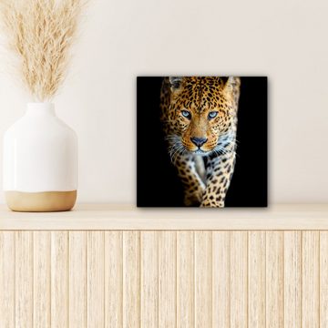 OneMillionCanvasses® Leinwandbild Leopard - Tiere - Porträt - Wildtiere - Schwarz, (1 St), Leinwand Bilder für Wohnzimmer Schlafzimmer, 20x20 cm