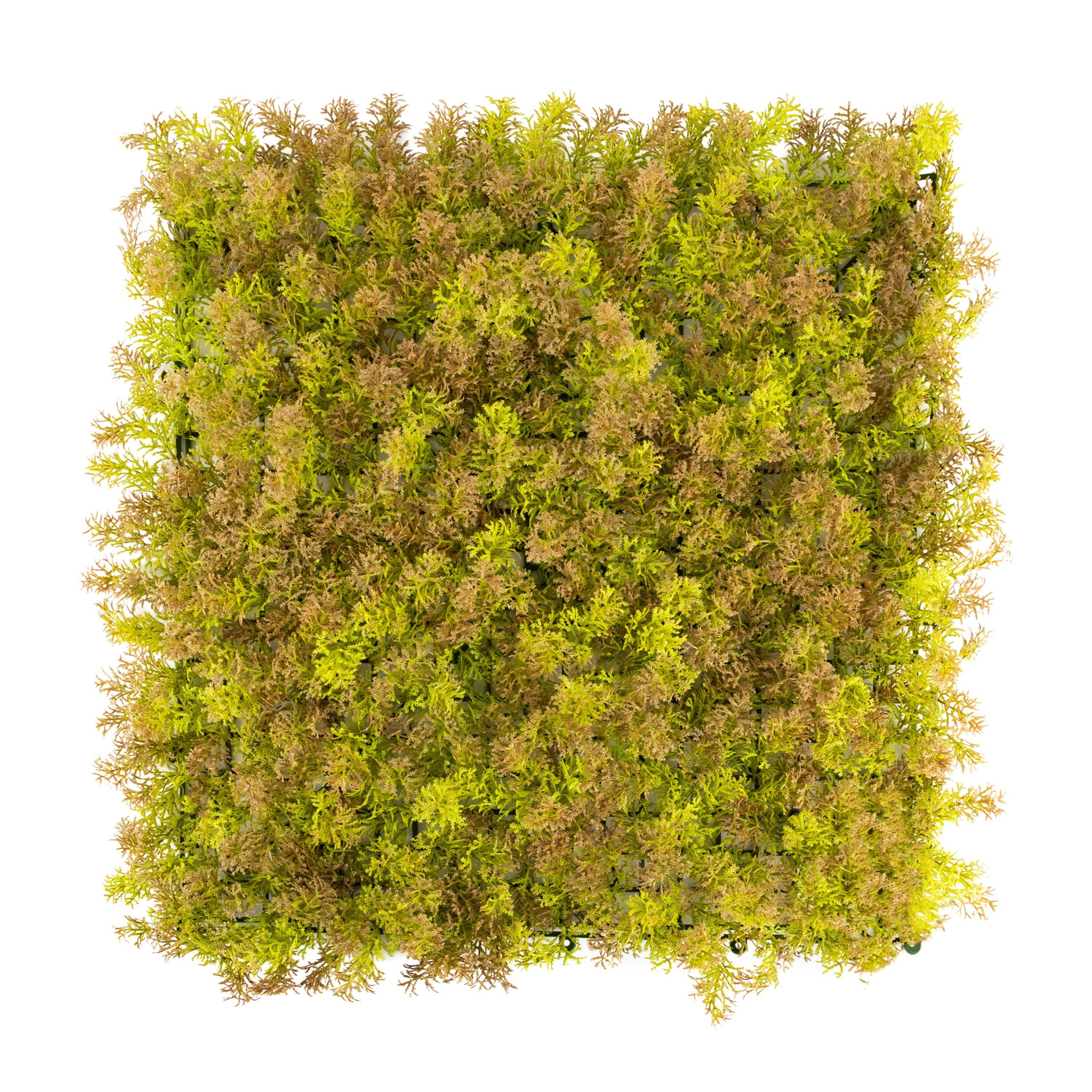 Kunstpflanze Pflanzenwand, 50x50cm Moos oder Ilex, Primaflor-Ideen in Textil, Höhe 50 cm, Wanddeko, realistische Optik, In- und Outdoor geeignet, UV-beständig