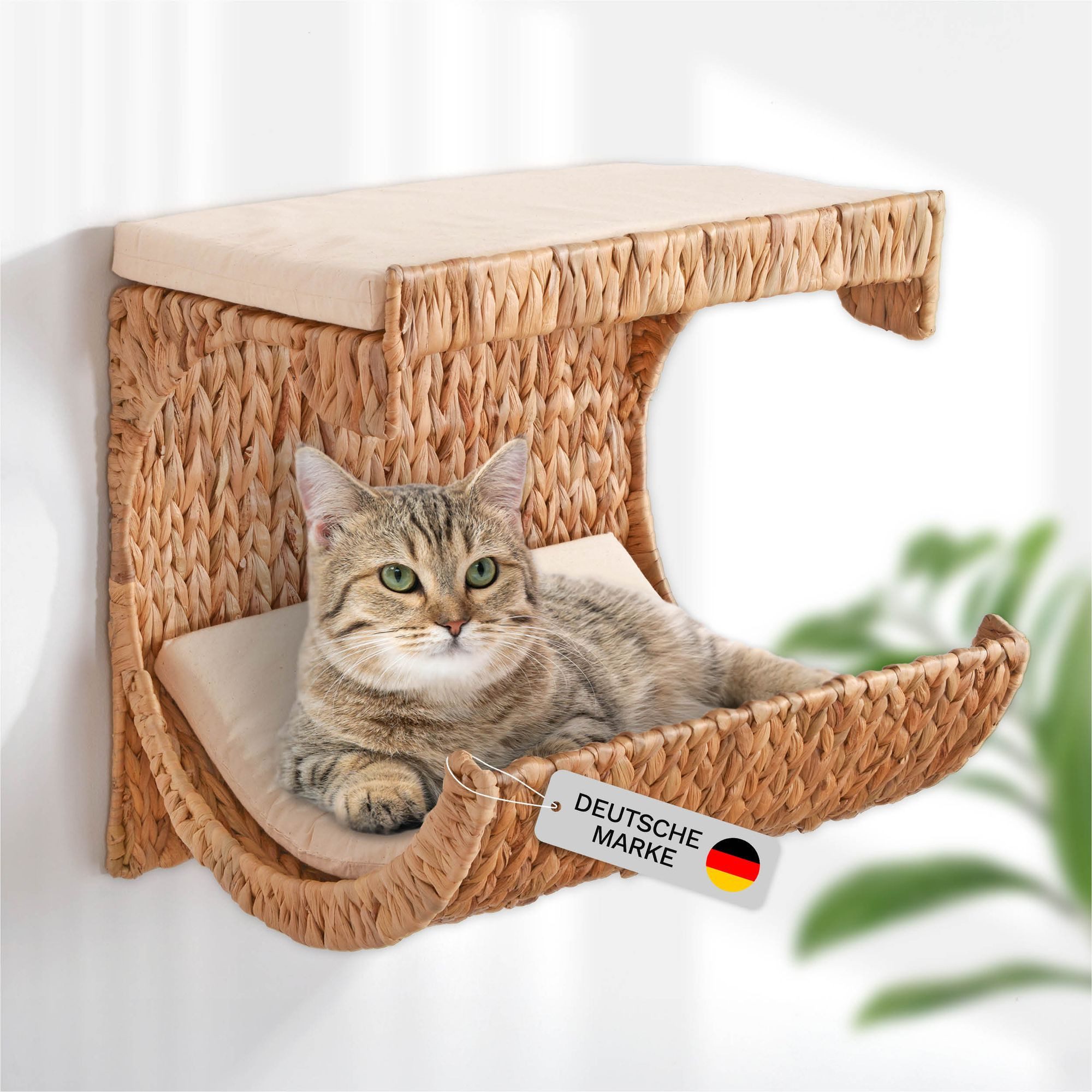 animal-design Katzen-Kletterwand Lycce Katzenbett Wand NICKY Kletterwand Ka günstig online kaufen