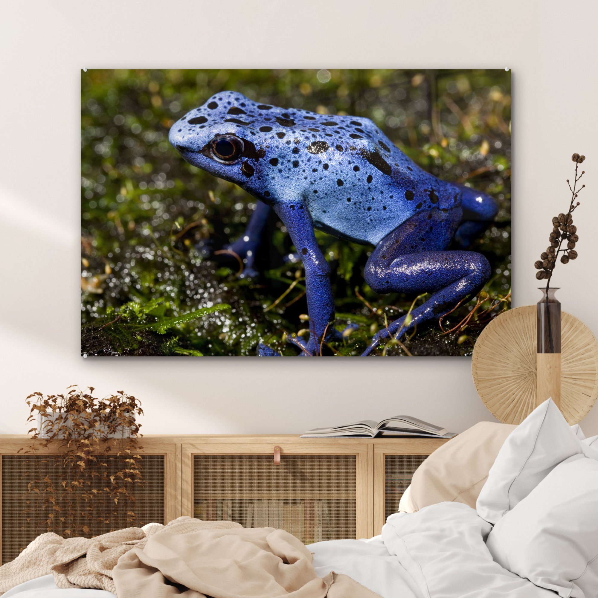 & Frosch Schlafzimmer - (1 - MuchoWow St), Wohnzimmer Reptil, Acrylglasbild Fels Acrylglasbilder