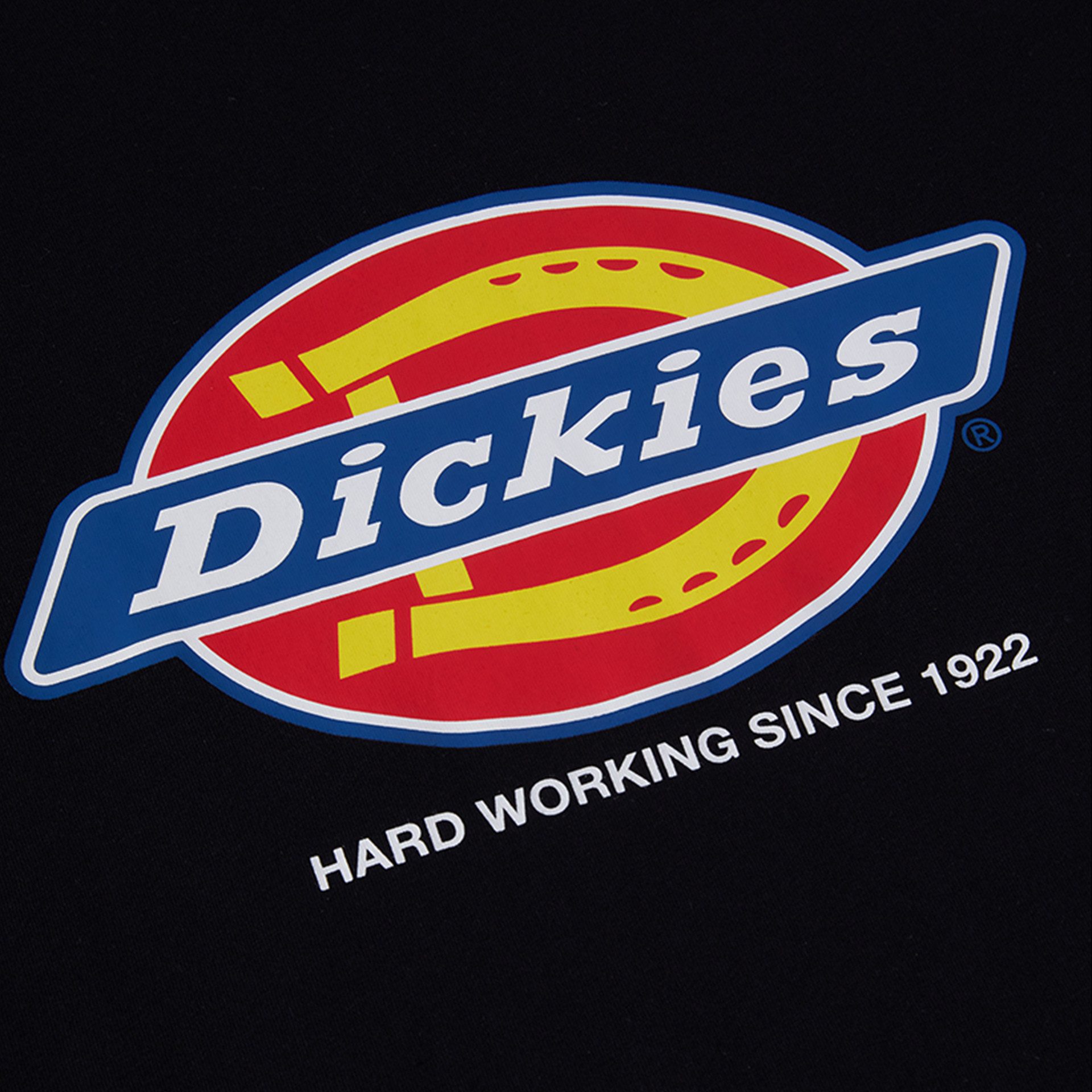 Dickies T-Shirt Dickies Workwear T-Shirt DENISON T-SHIRT