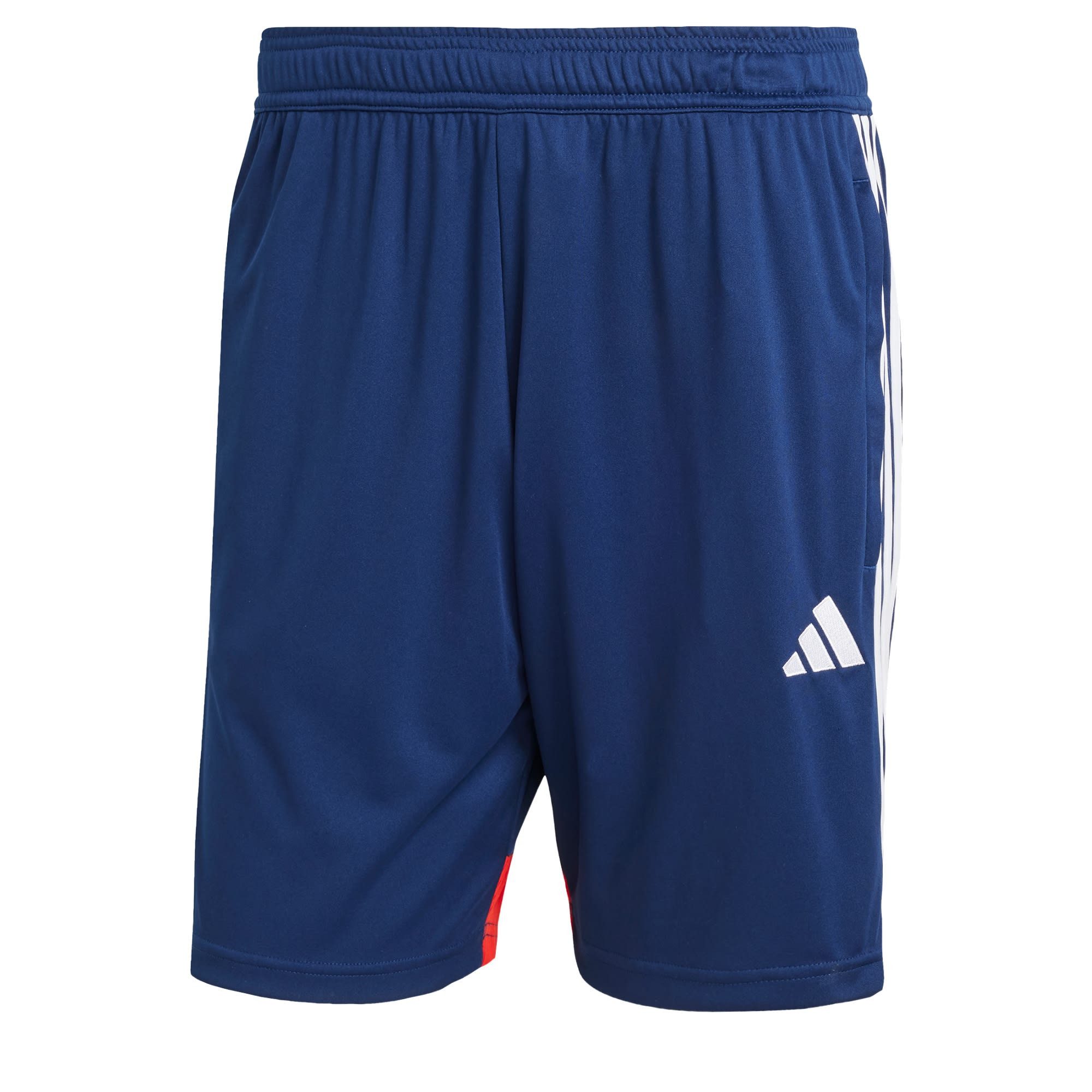 Team Navy / Red