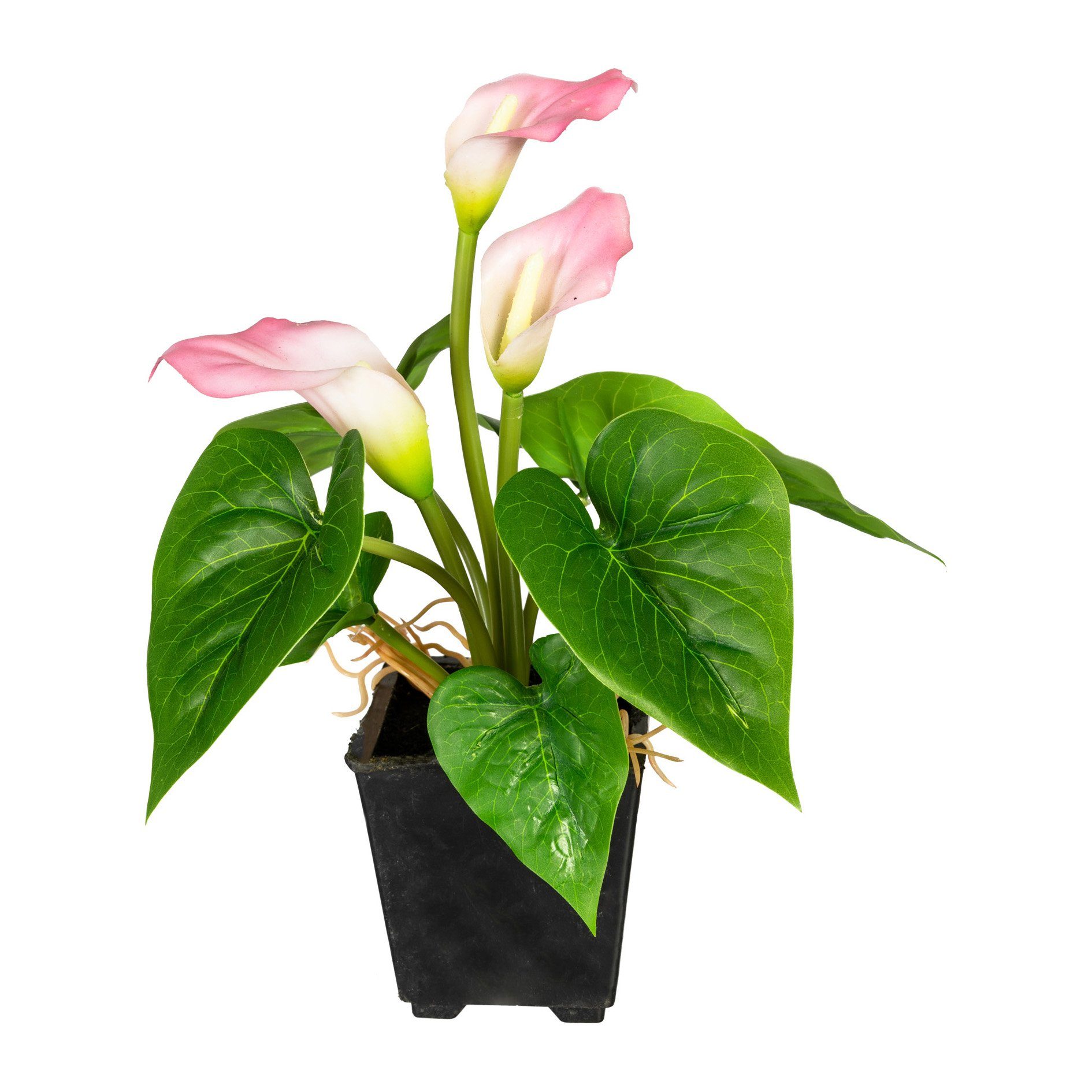 Kunstpflanze Mini-Calla 3 Blüten im Kunststofftopf 20 cm rosa, Gasper, Höhe 20.00 cm