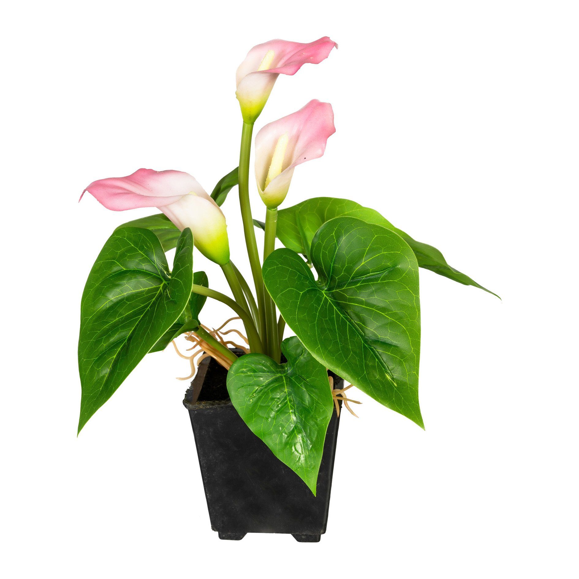 Kunstpflanze Mini-Calla 3 Blüten im Kunststofftopf günstig online kaufen