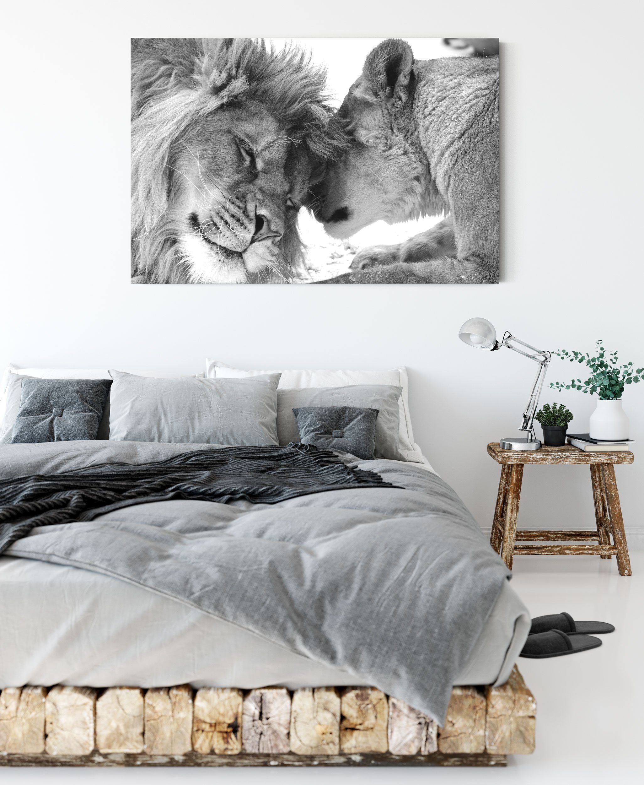 Löwenpaar Löwenpaar, fertig bespannt, Zackenaufhänger inkl. Bezauberndes Leinwandbild Pixxprint kuschelndes Bezauberndes St), kuschelndes Leinwandbild (1