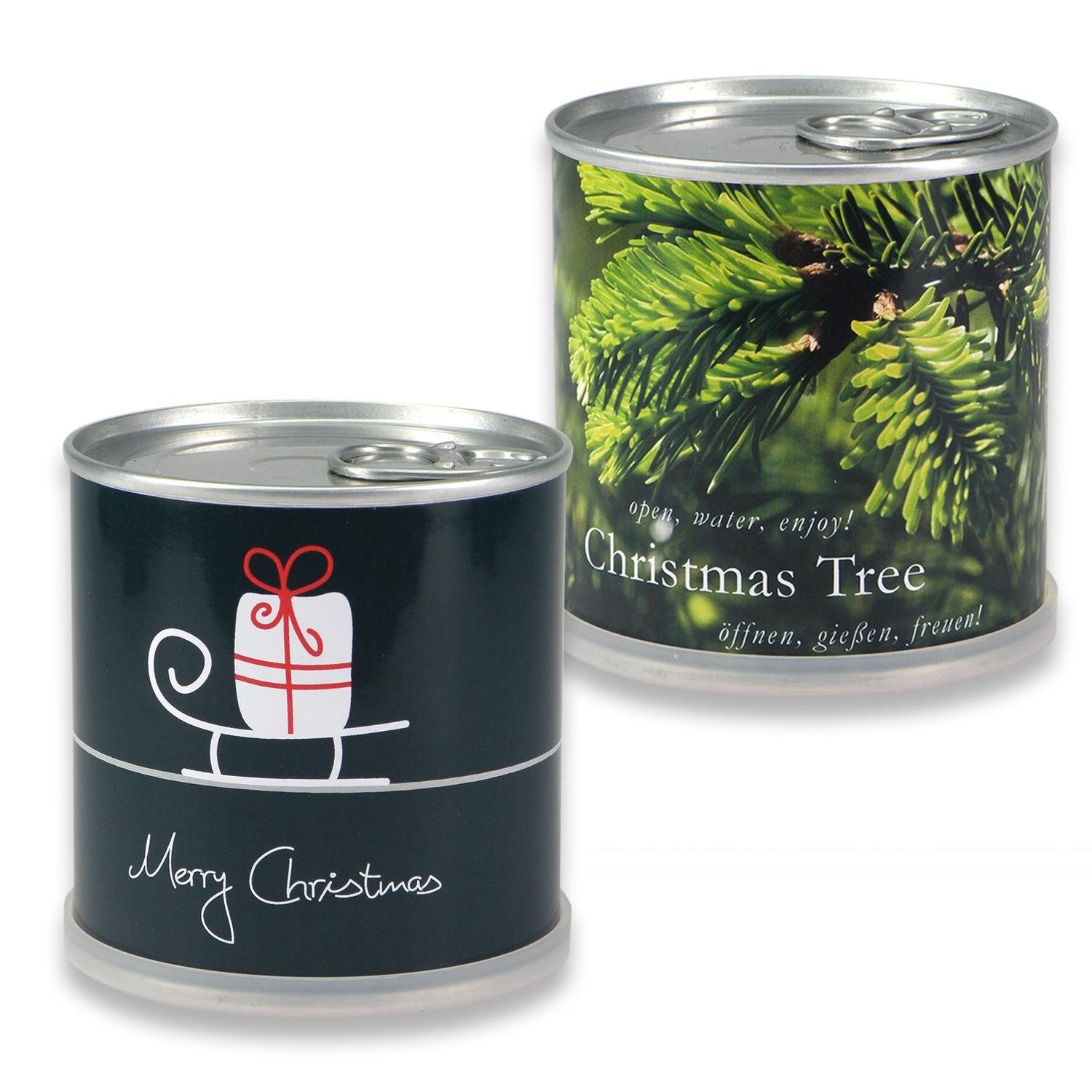 MacFlowers® Anzuchttopf Weihnachtsbaum in der Dose - 2er Set Schlitten - Tanne Merry Christmas (2 St)